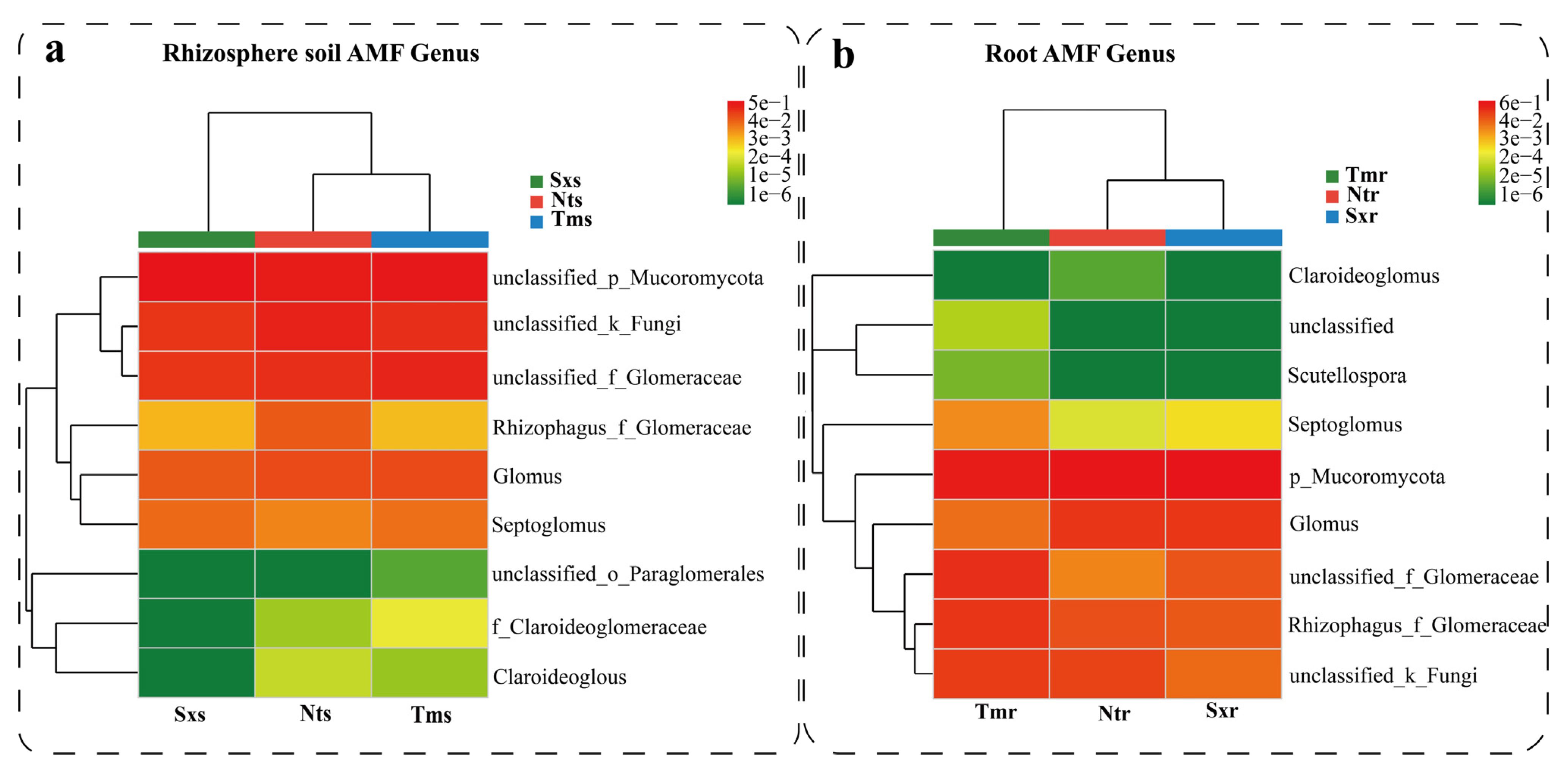 Agronomy 13 01485 g002