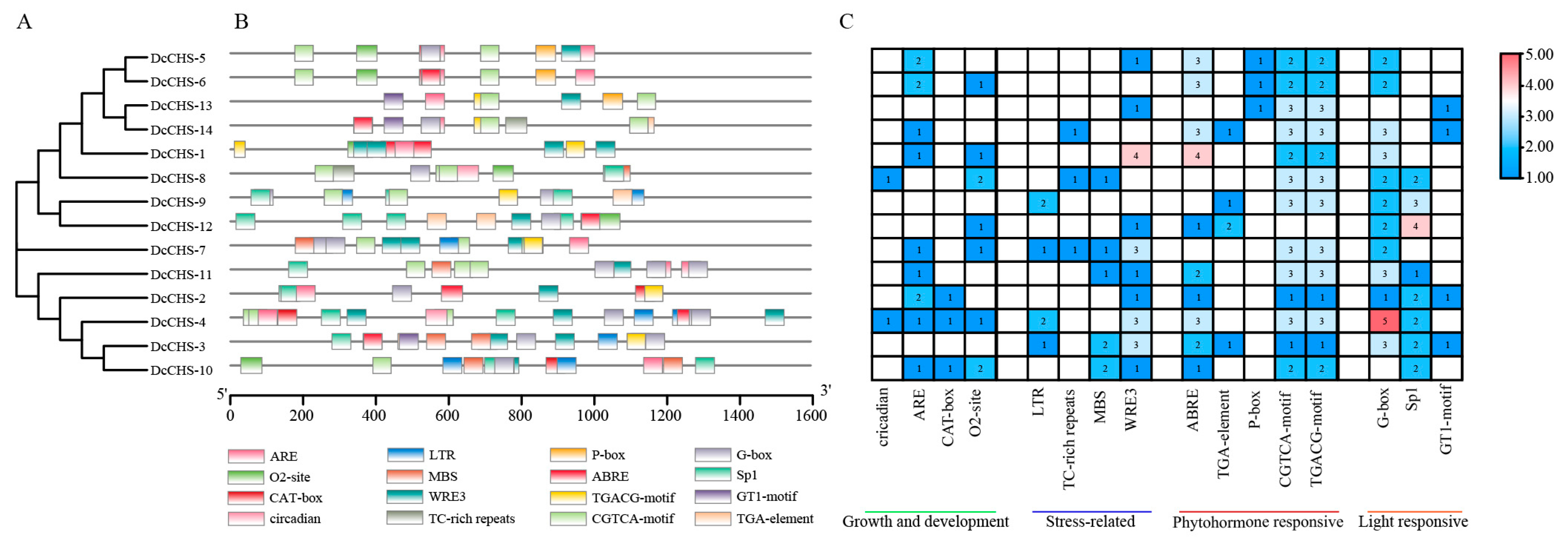 Agronomy | Free Full-Text | Genome-Wide Identification and Expression ...