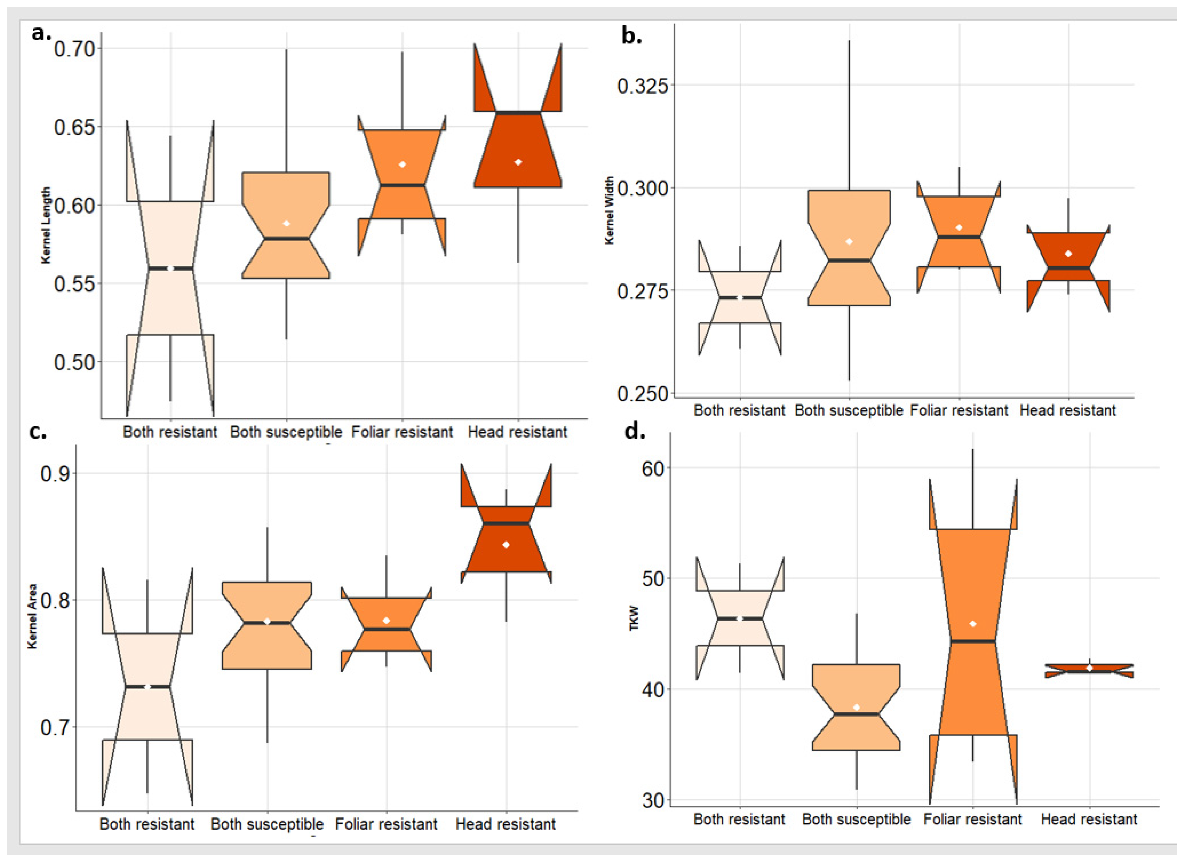 Agronomy 13 01509 g008