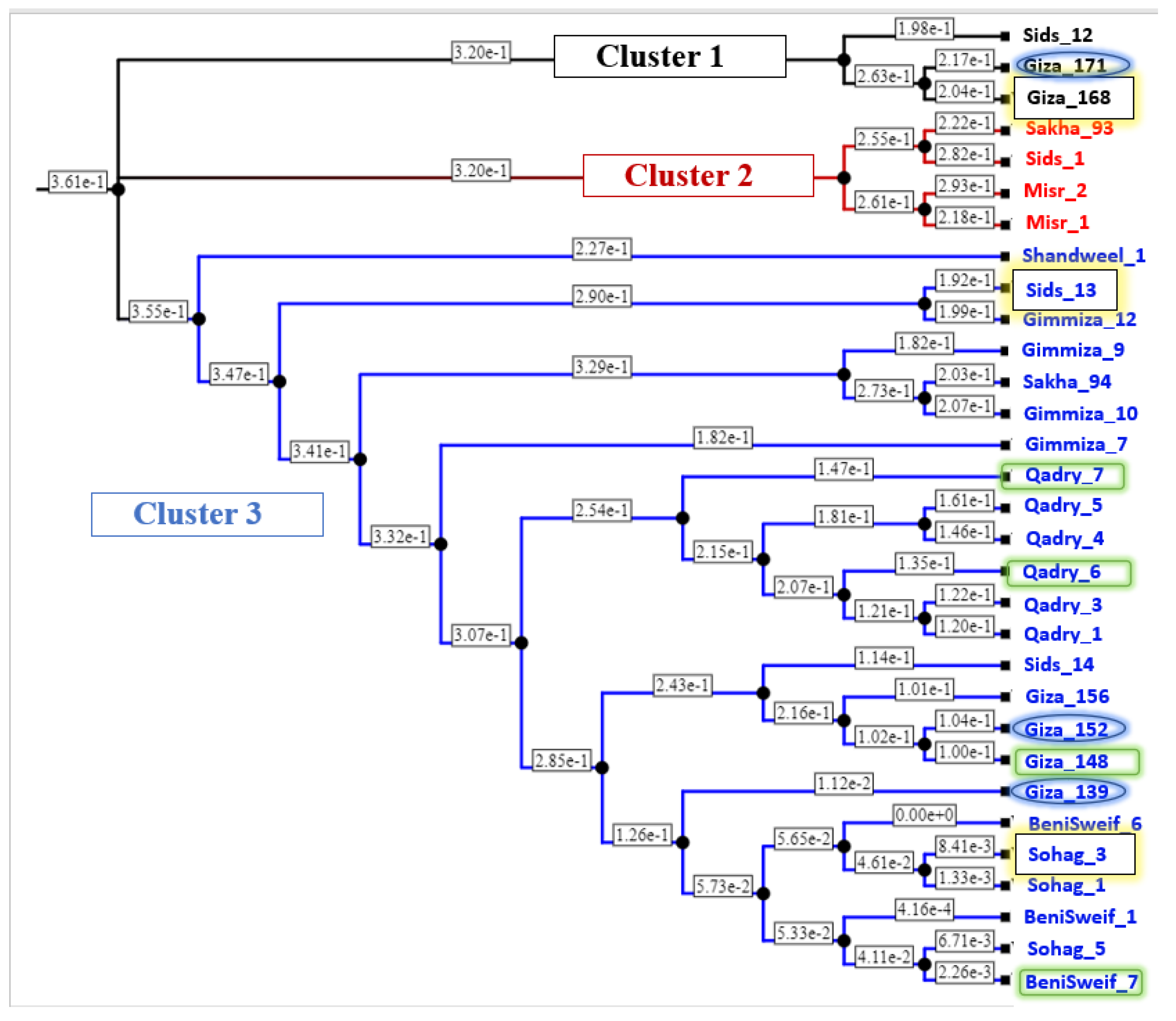 Agronomy 13 01509 g009