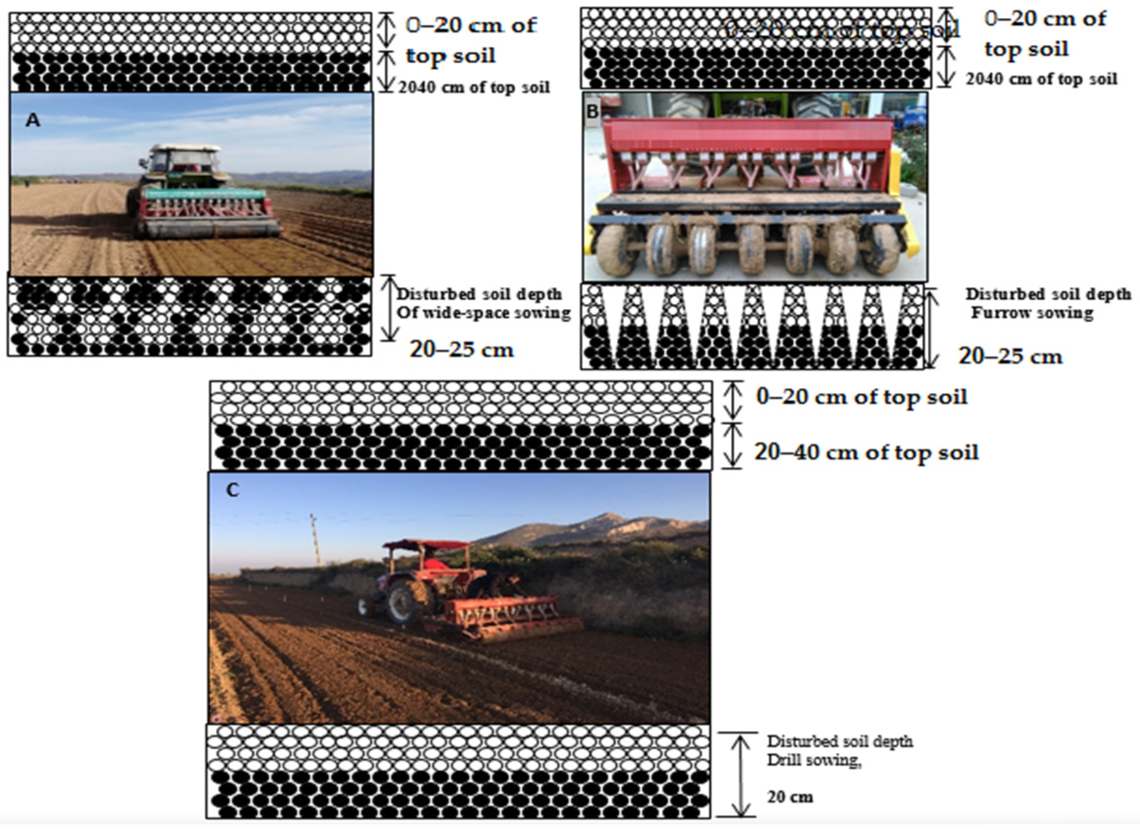 Agronomy 13 01528 g002 Agronomy 13 01528 g002