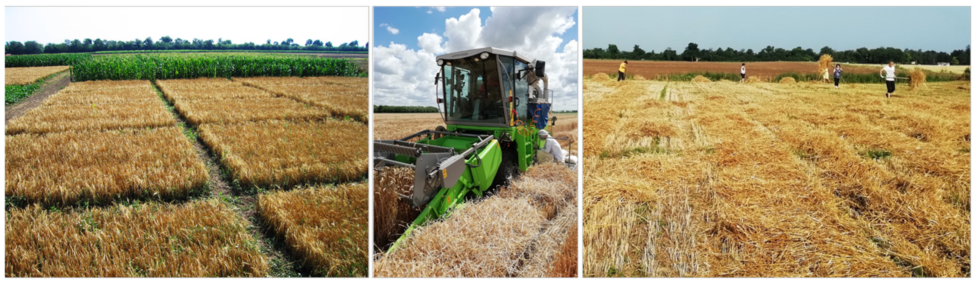 Agronomy 13 01529 g003 Agronomy 13 01529 g003