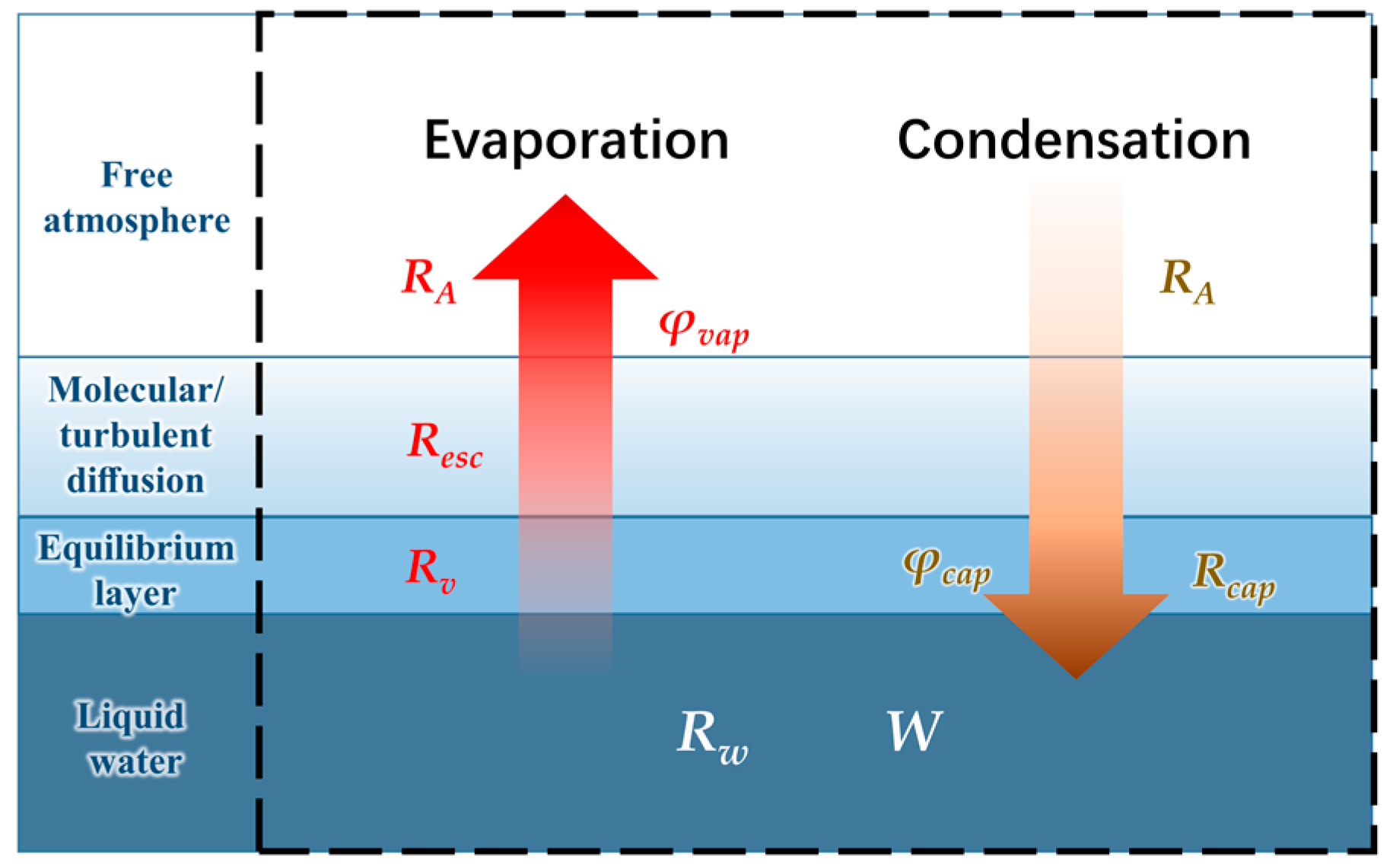 Agronomy 13 01531 g001