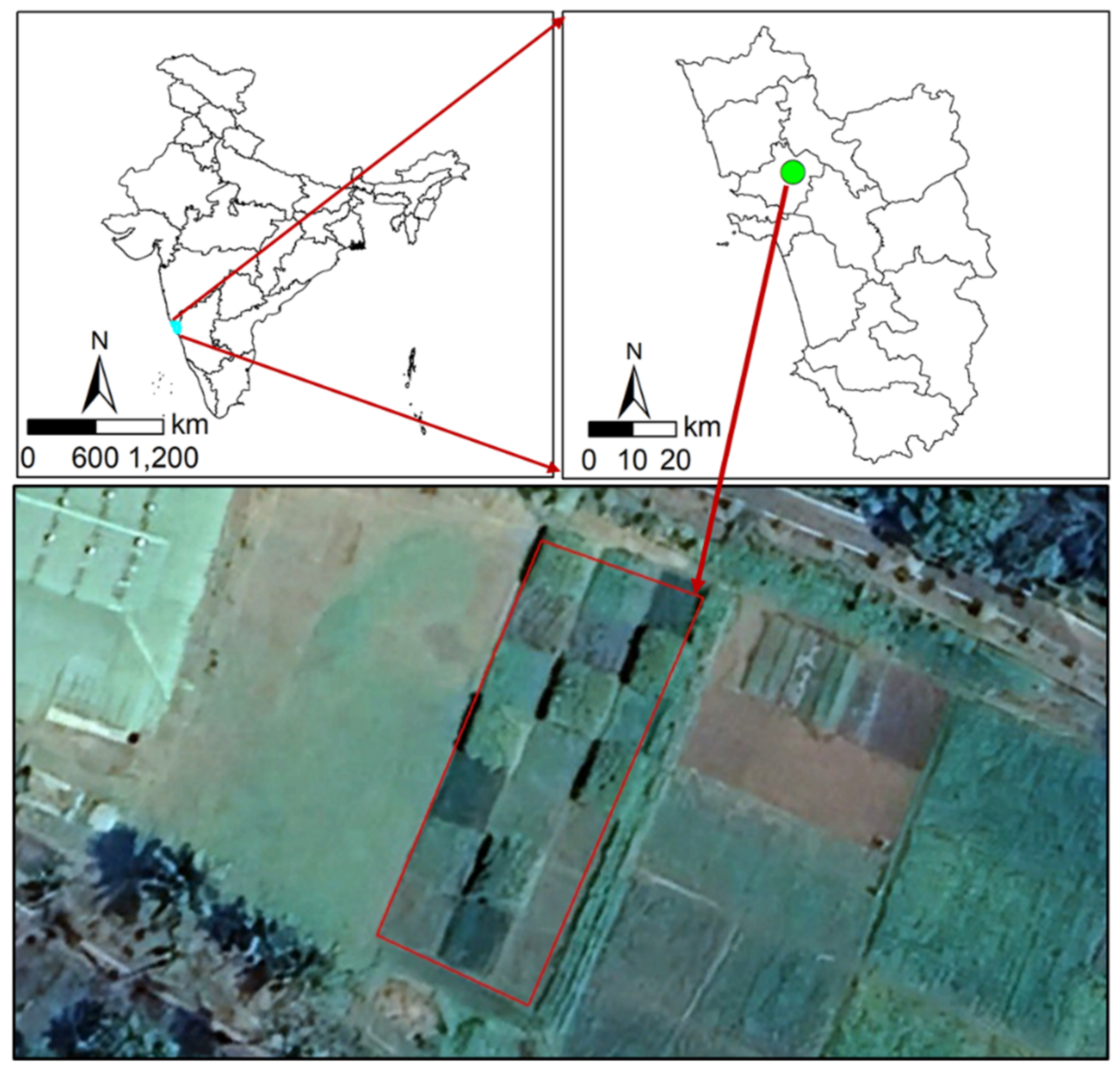 Agronomy 13 01557 g001