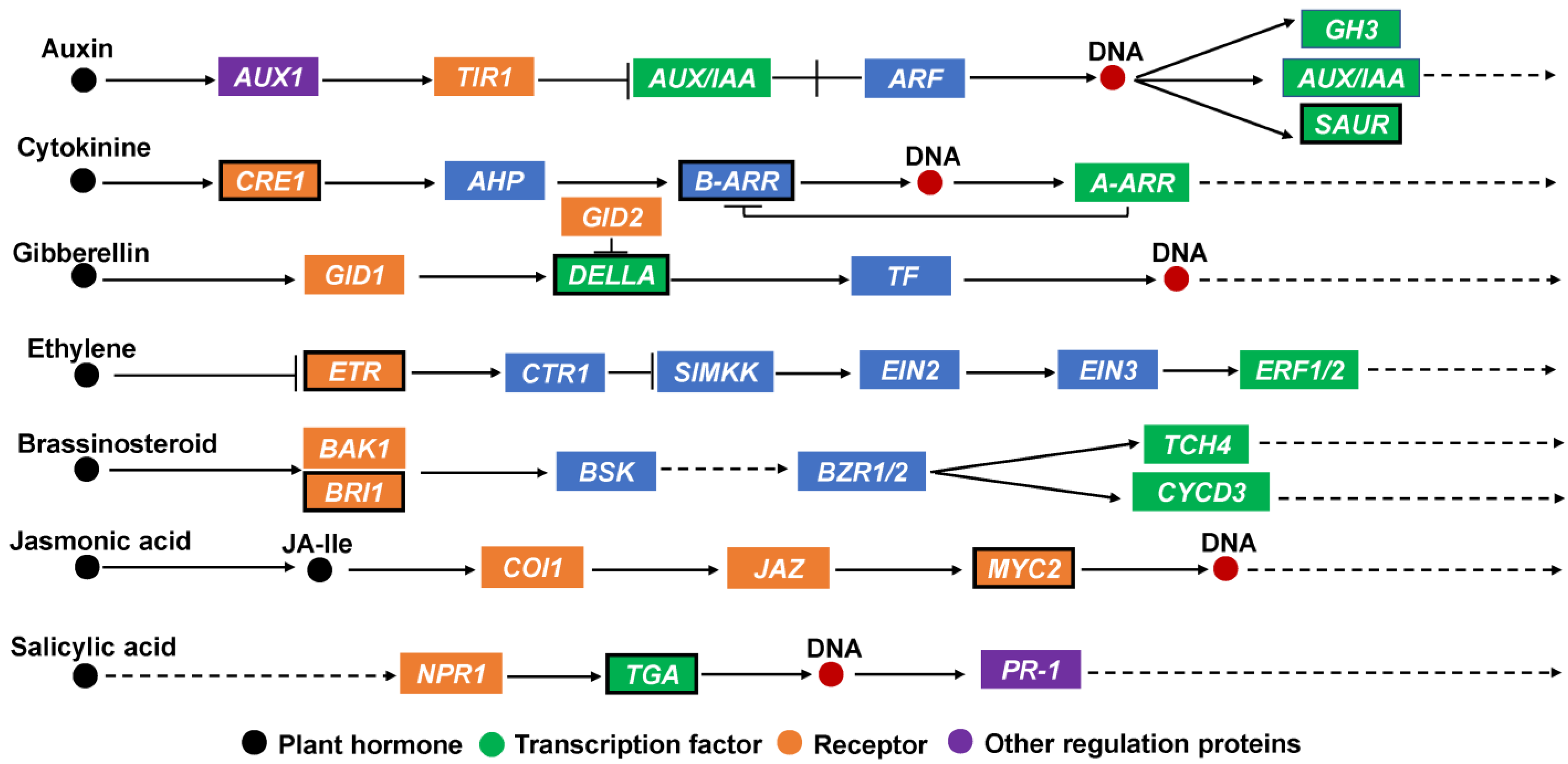 Agronomy 13 01561 g005 Agronomy 13 01561 g005