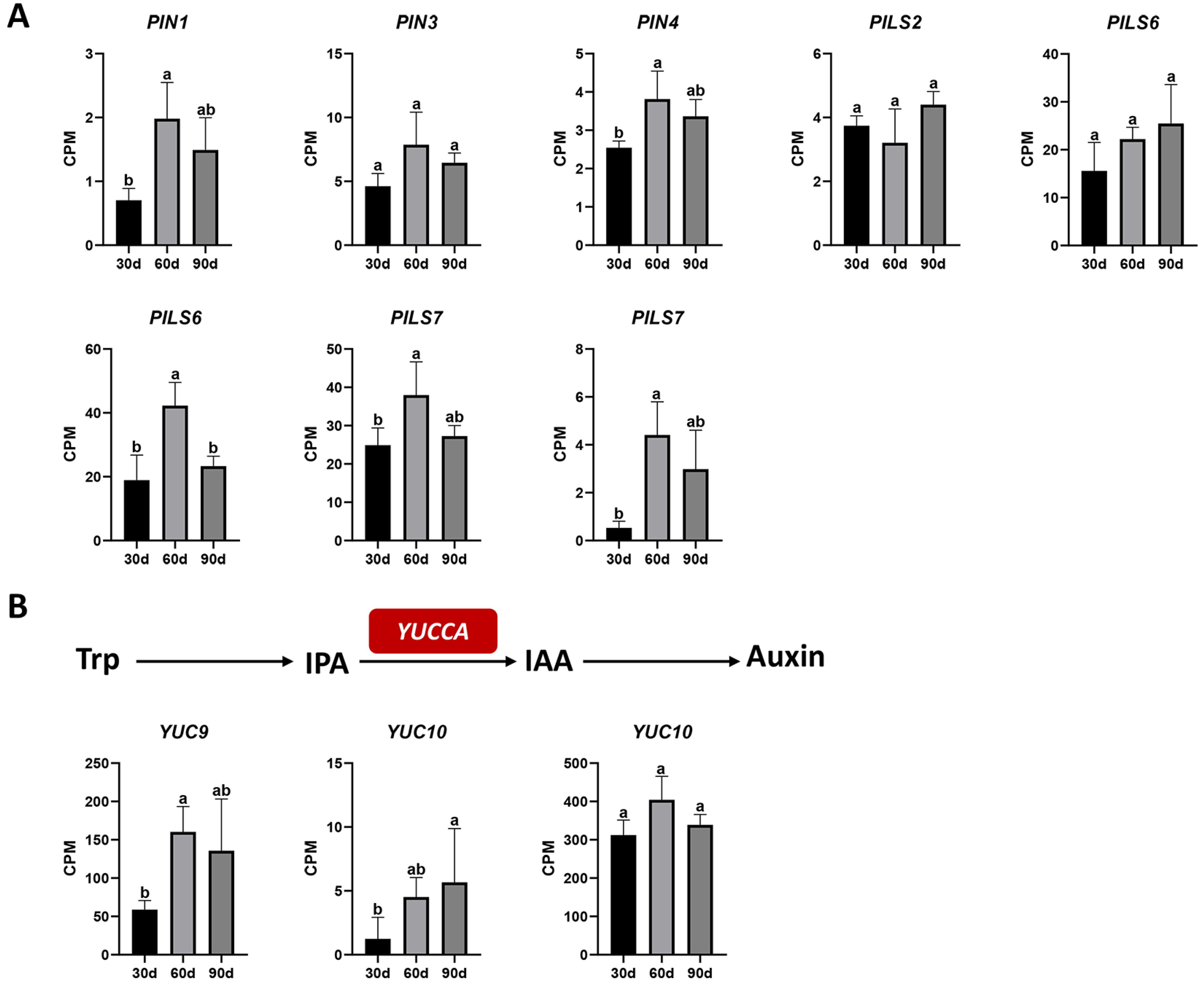 Agronomy 13 01561 g007 Agronomy 13 01561 g007