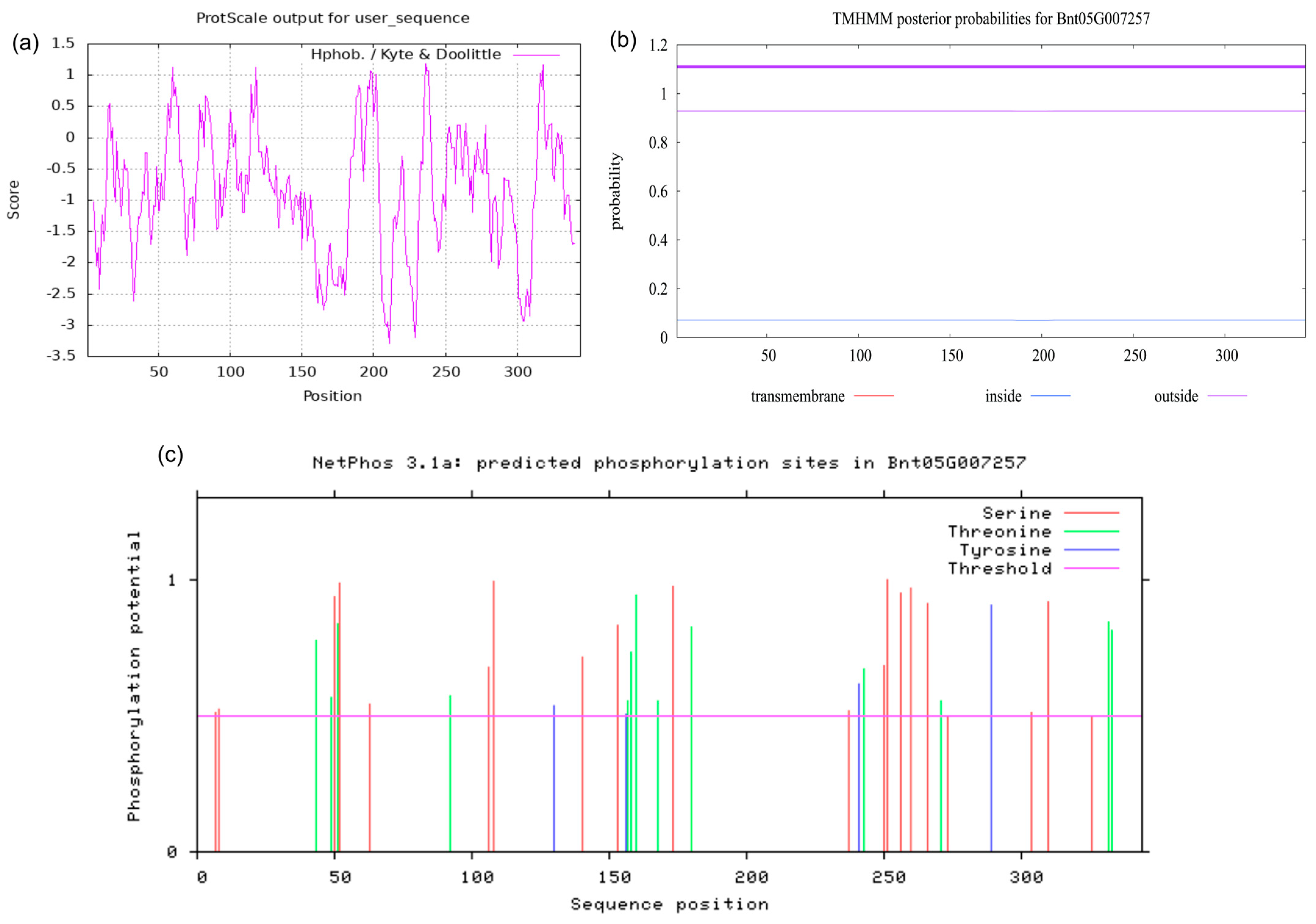 Agronomy 13 01575 g001