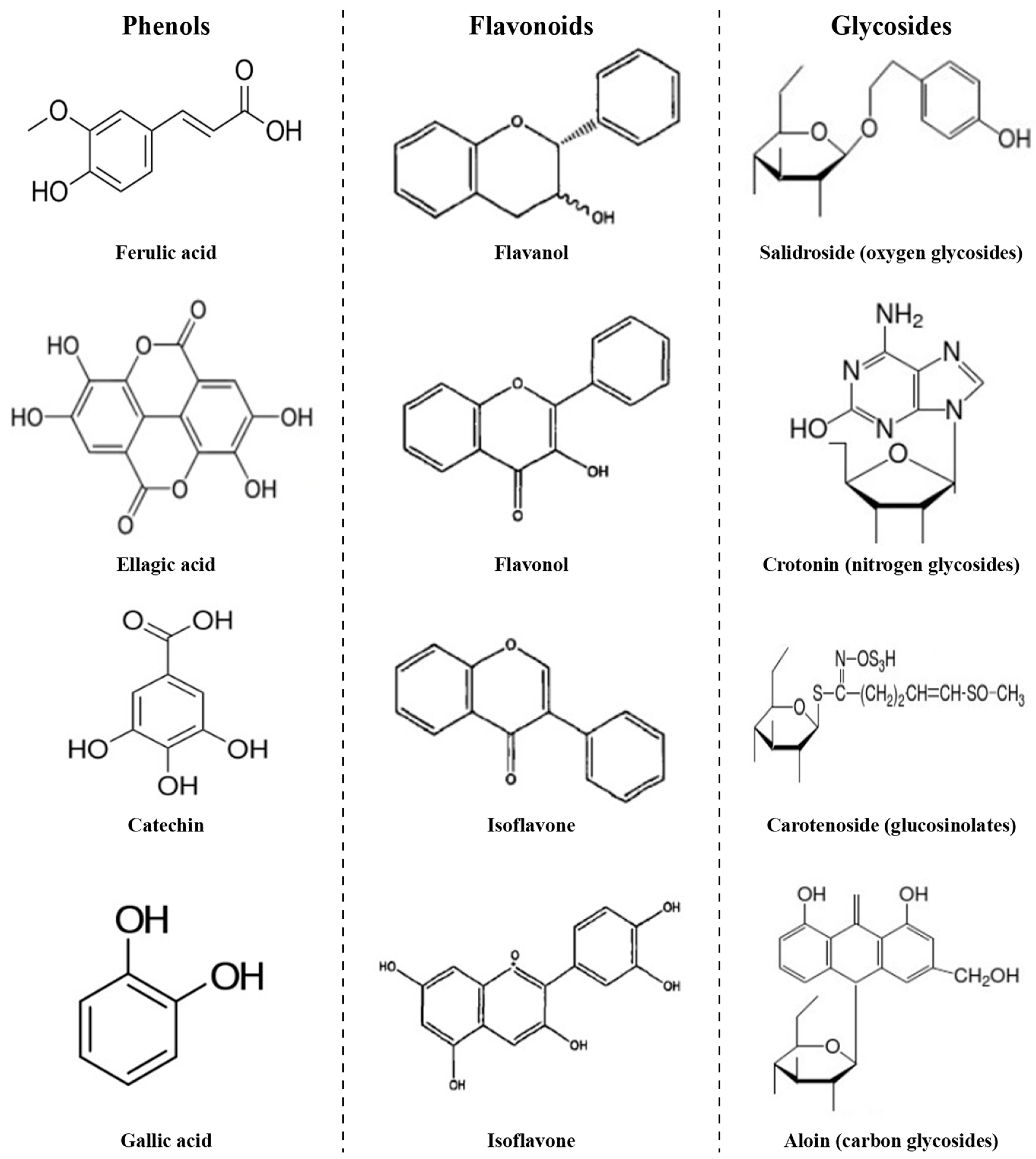 Agronomy 13 01580 g005 Agronomy 13 01580 g005