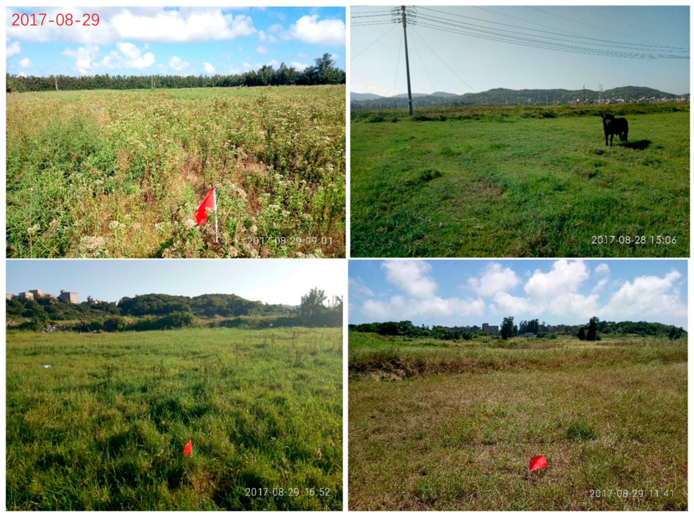 Agronomy 13 01585 g001 Agronomy 13 01585 g001