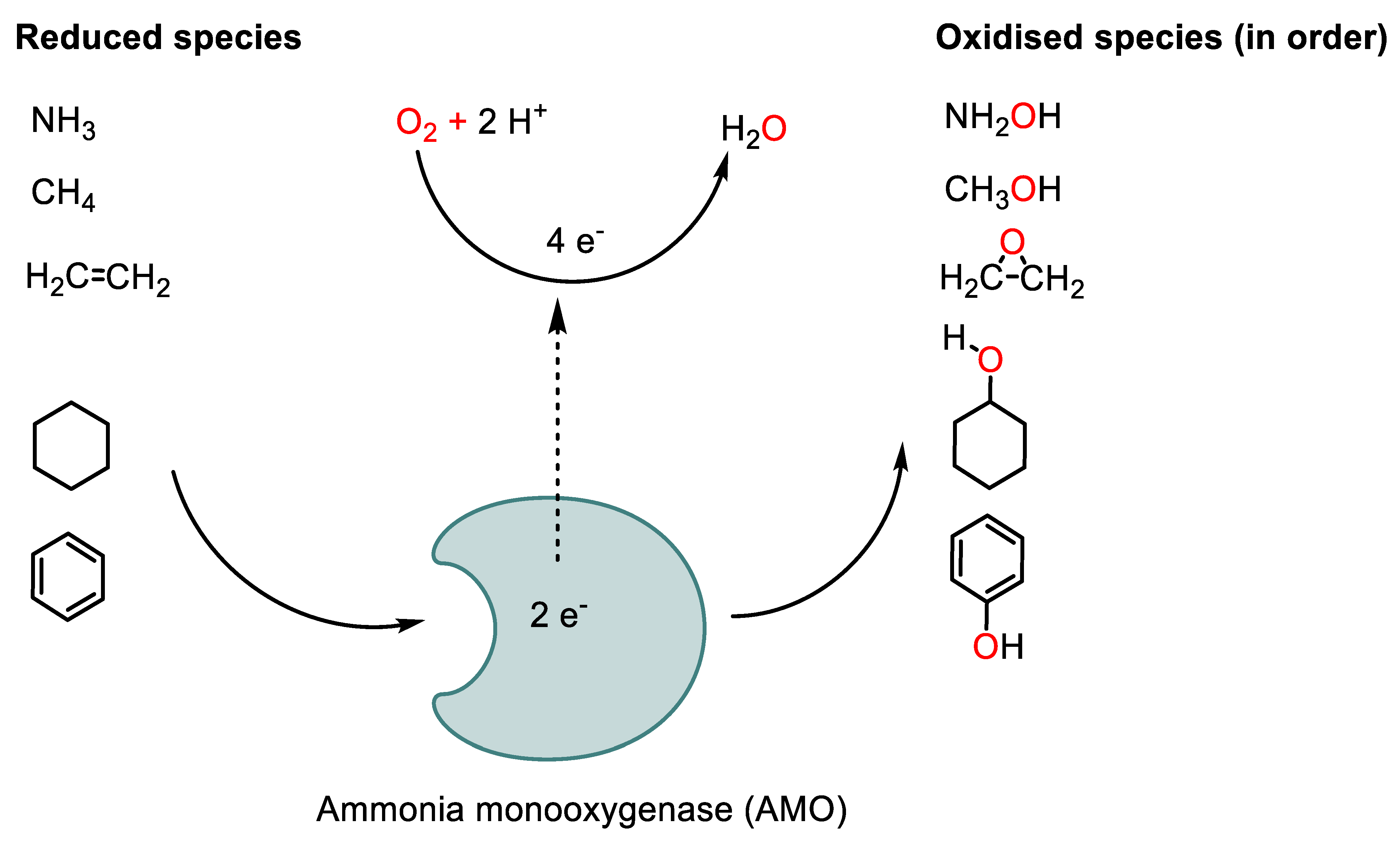 Agronomy 13 01603 g006