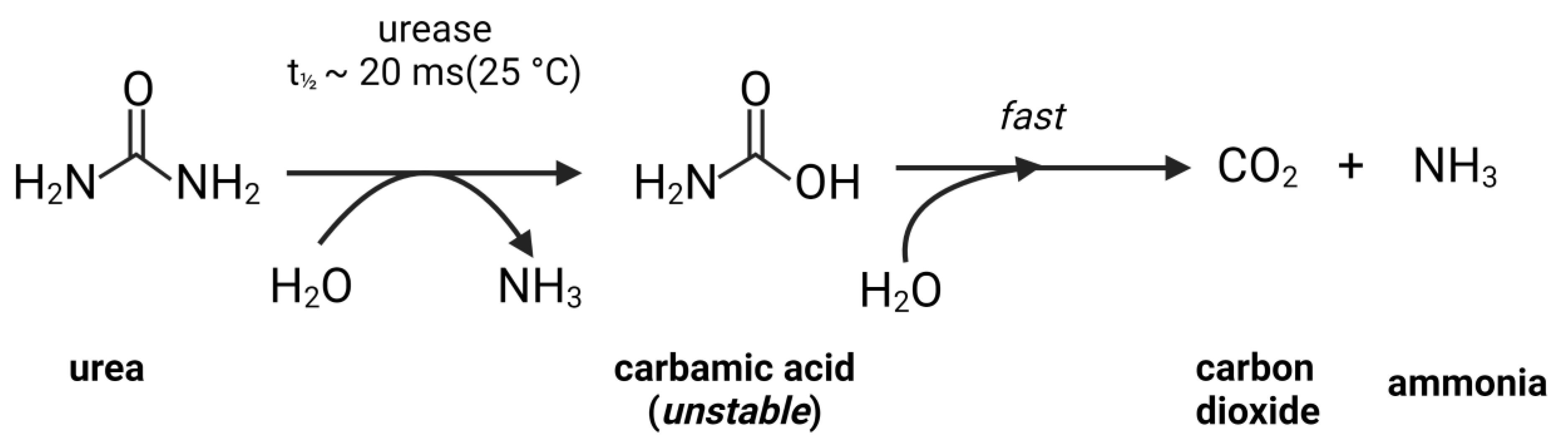 Agronomy 13 01603 sch001