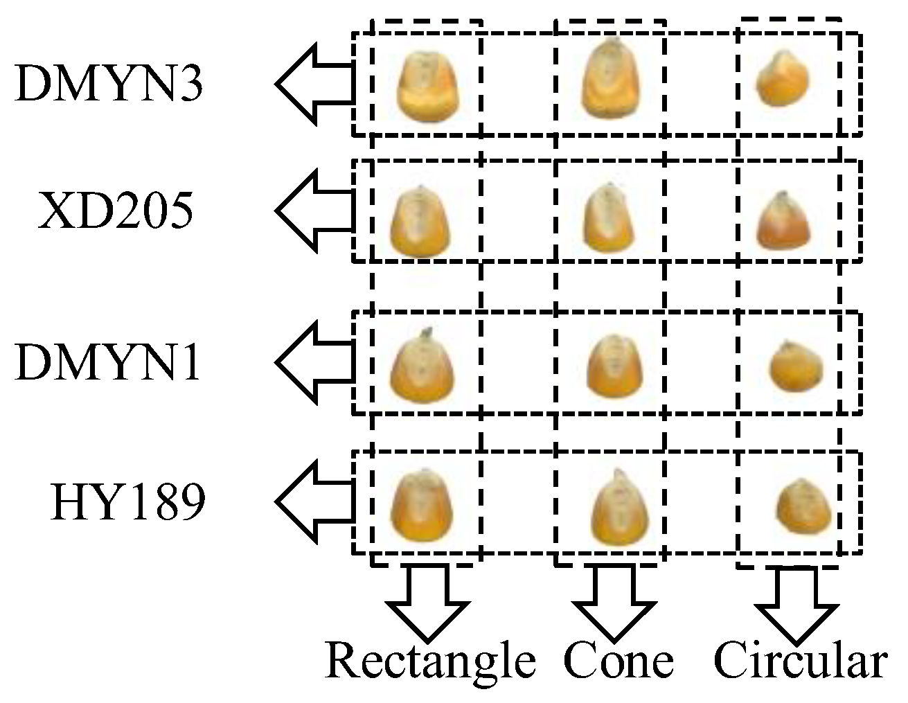 Agronomy 13 01615 g001