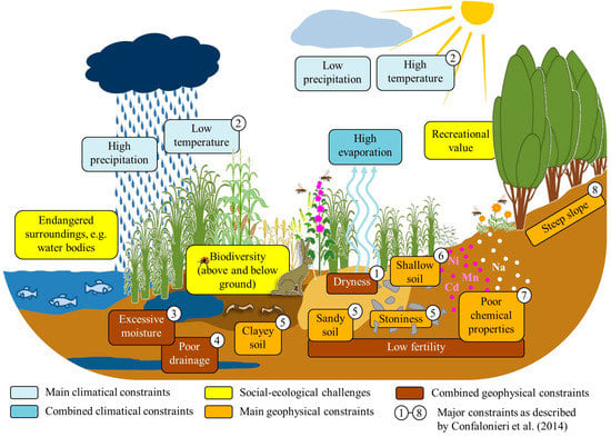 Edible Rock Cycle Activity Key by Becker's Teaching Materials