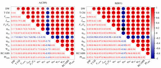 Agronomy Free Full Text Effect Of Phosphorus Iron Zinc And Their