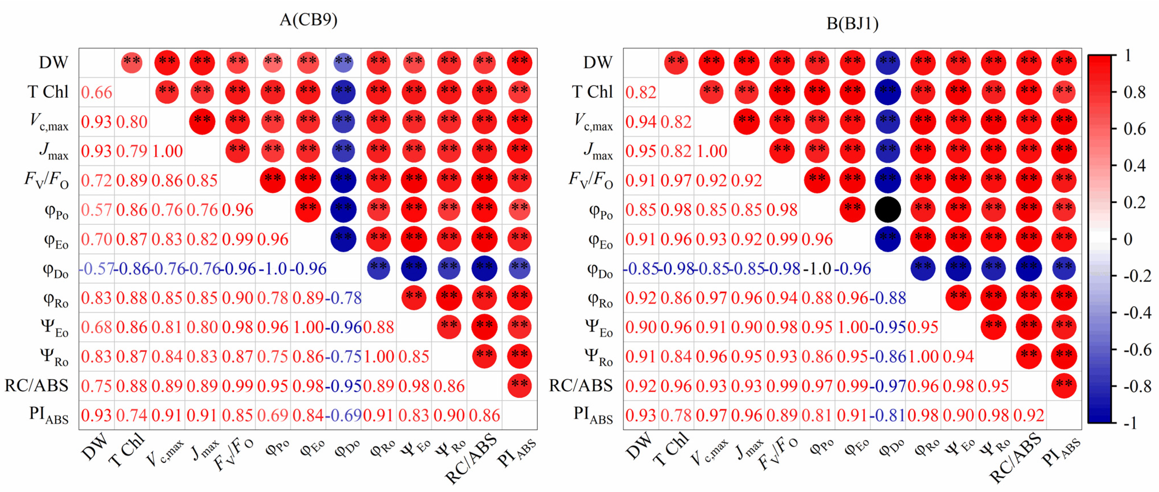 Agronomy 13 01657 g010 Agronomy 13 01657 g010