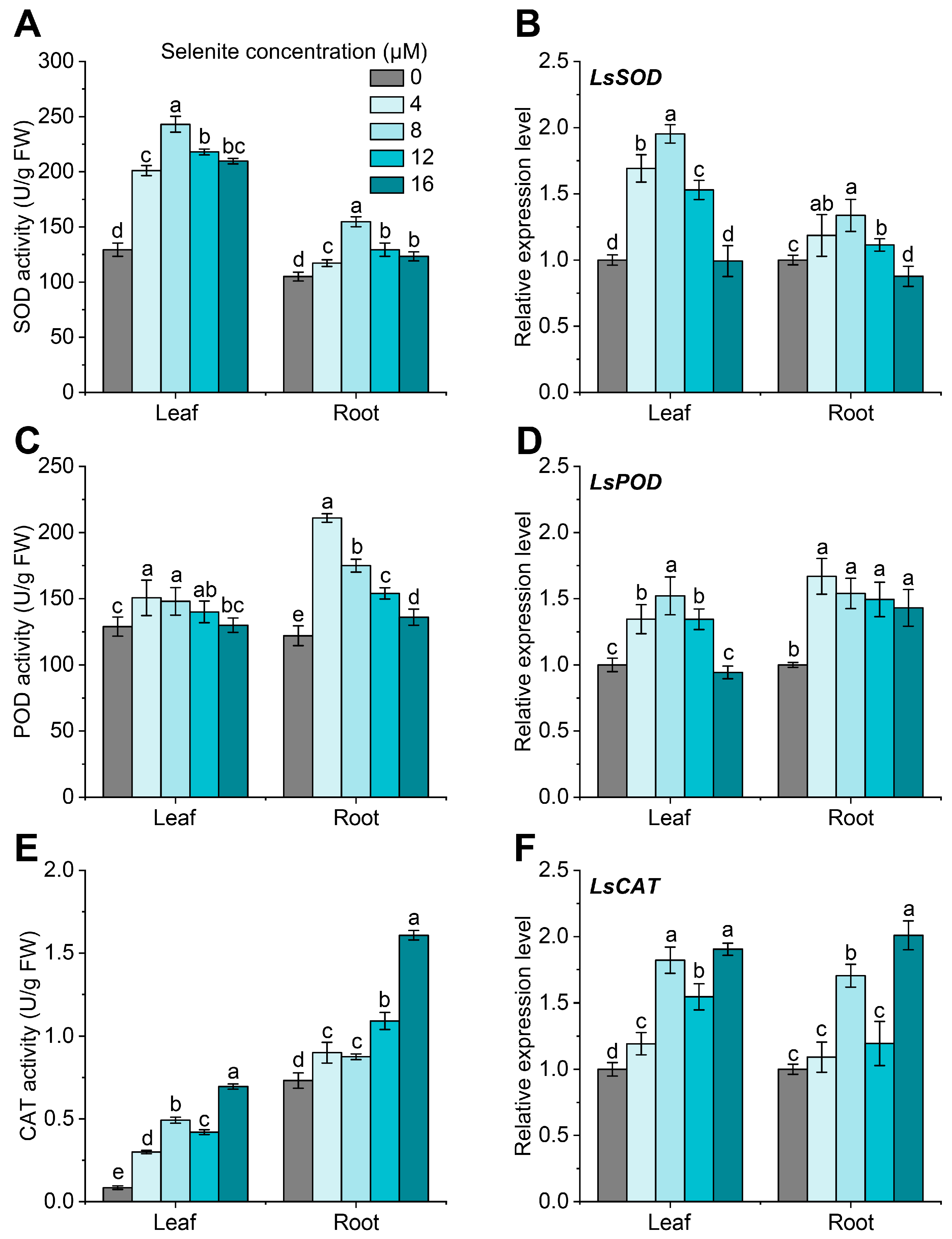 Agronomy 13 01664 g003