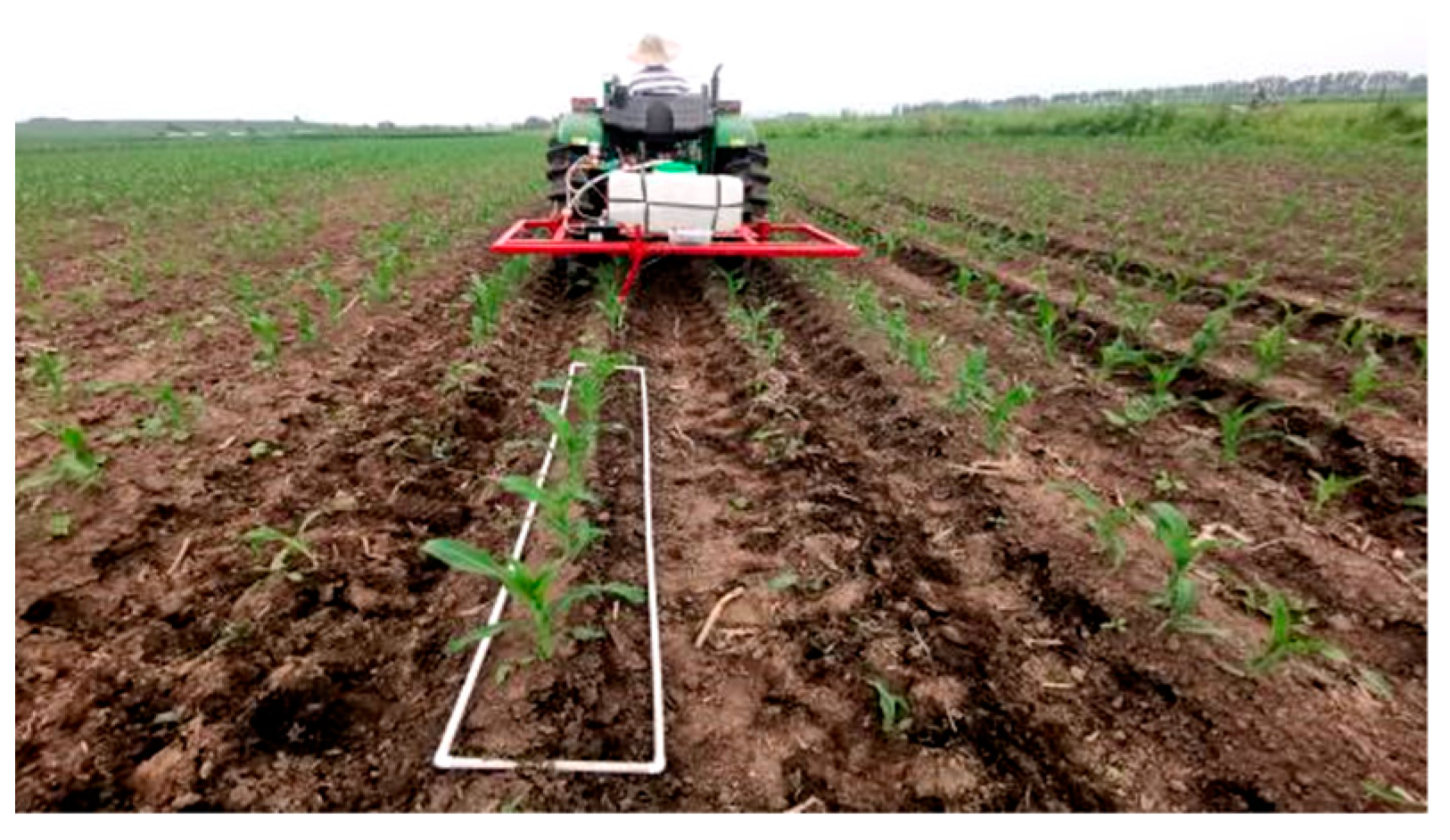 Agronomy 13 01687 g013 Agronomy 13 01687 g013