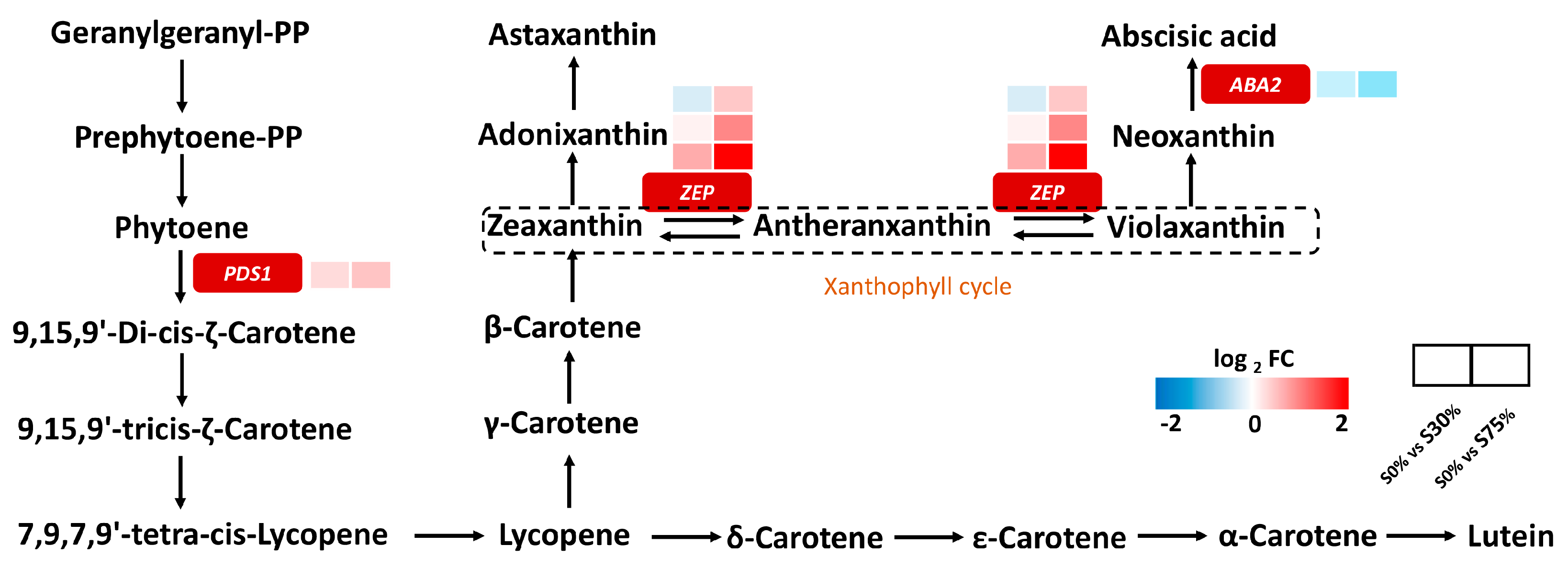 Agronomy 13 01701 g005 Agronomy 13 01701 g005