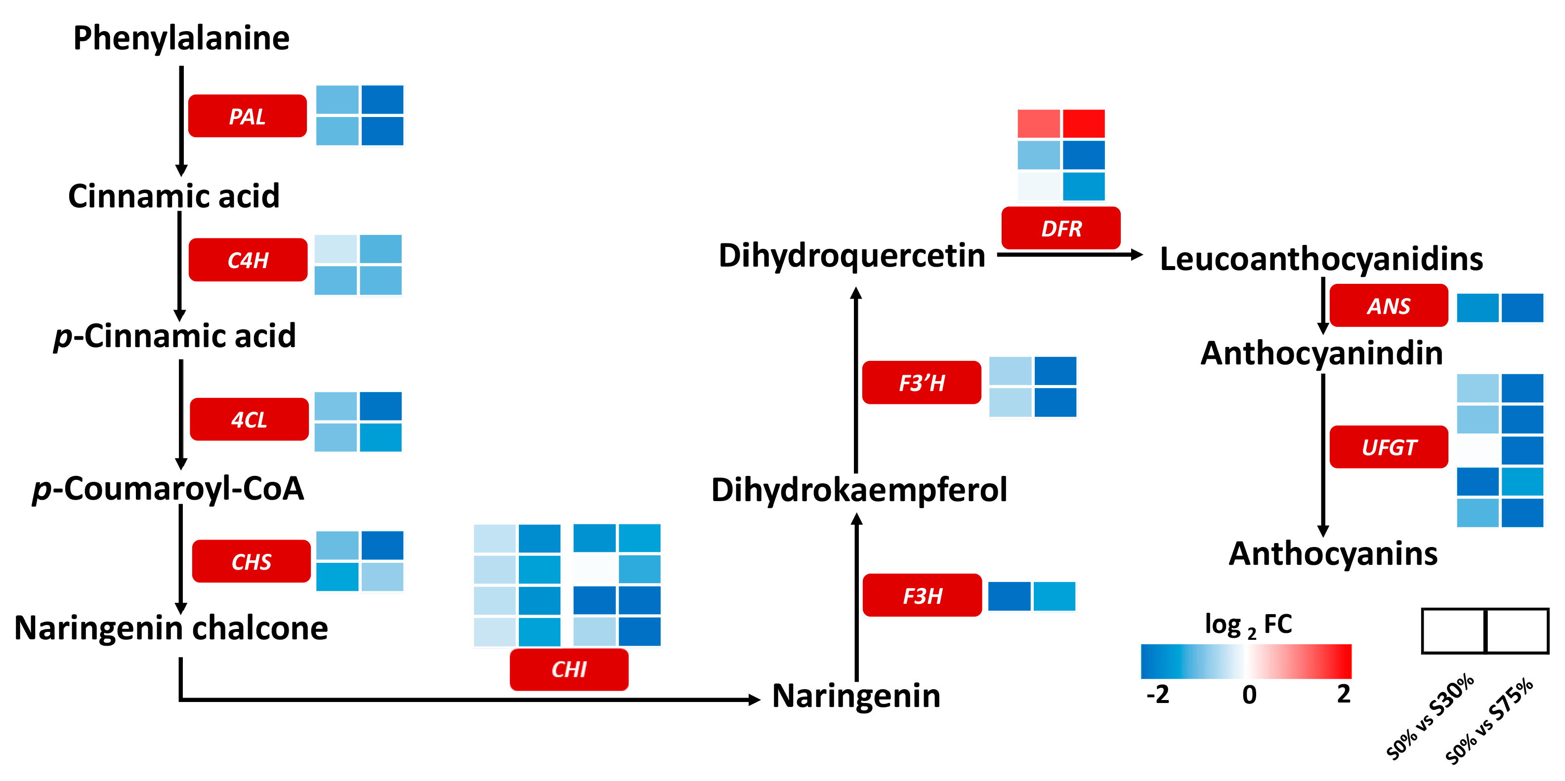 Agronomy 13 01701 g007 Agronomy 13 01701 g007