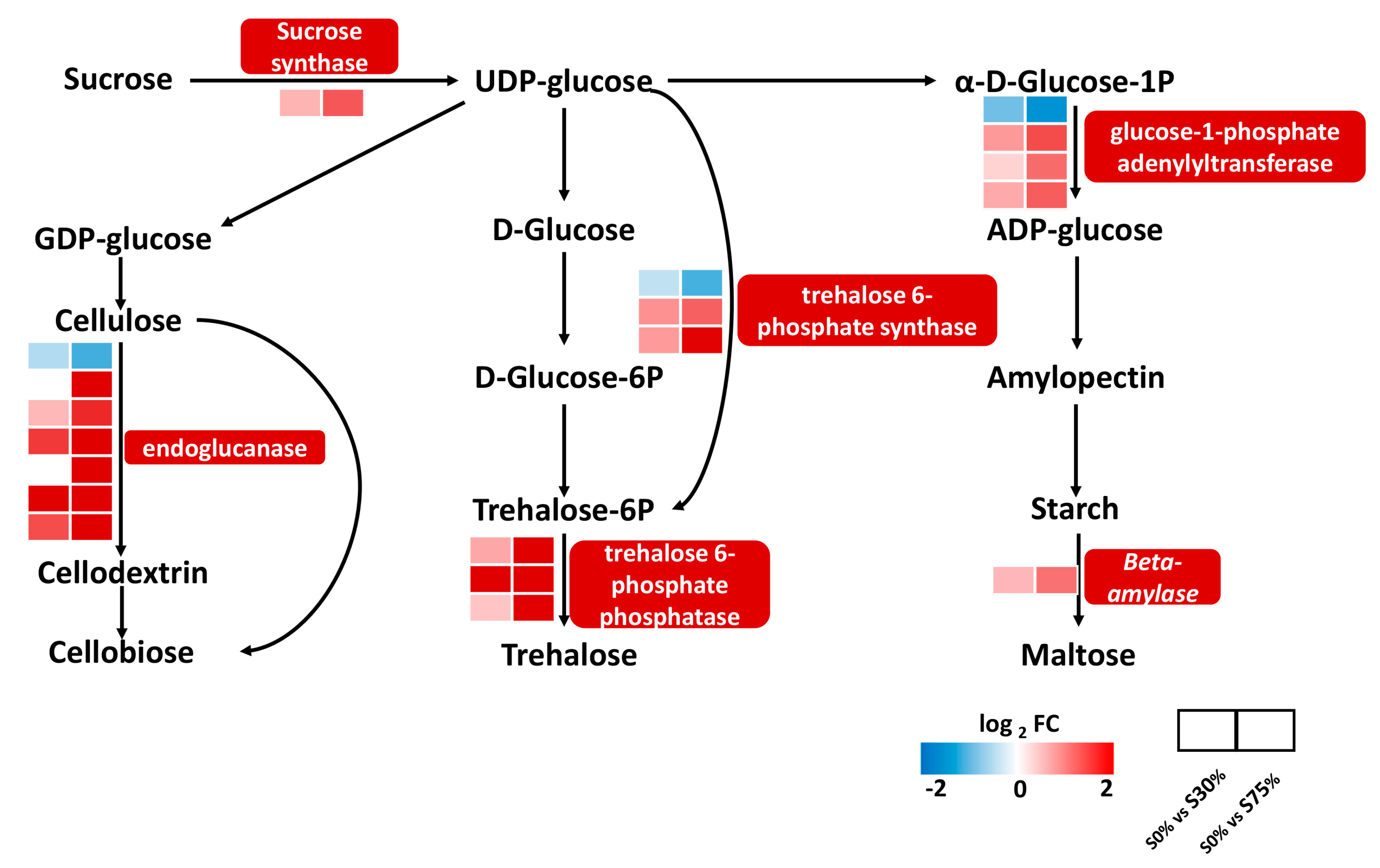 Agronomy 13 01701 g008 Agronomy 13 01701 g008