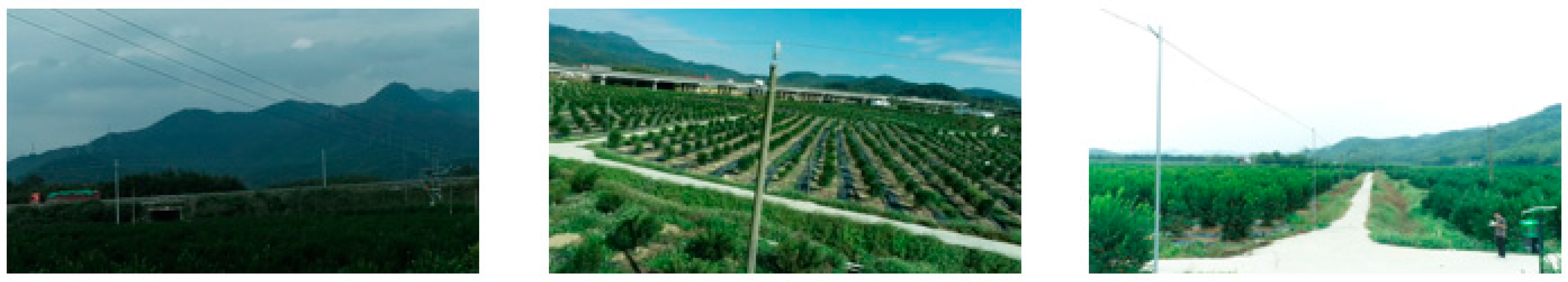 Agronomy 13 01705 g006 Agronomy 13 01705 g006