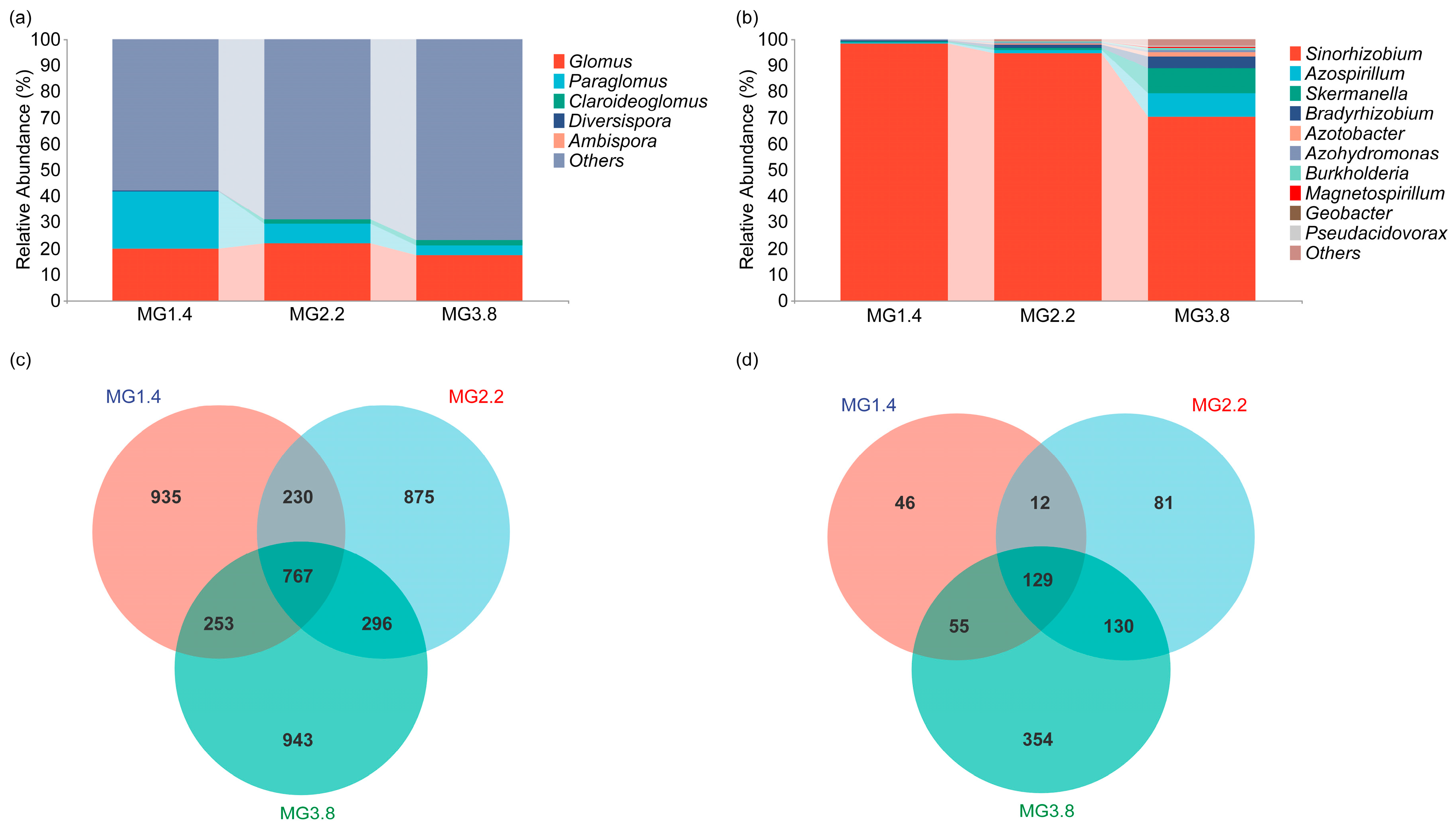 Agronomy 13 01713 g002