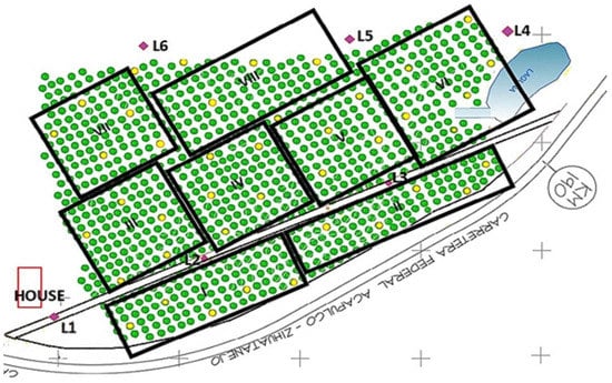 https://www.mdpi.com/agronomy/agronomy-13-01736/article_deploy/html/images/agronomy-13-01736-g001-550.jpg