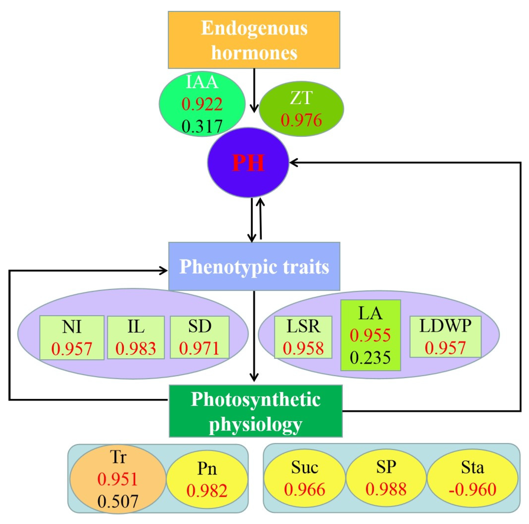 Agronomy 13 01744 g010 Agronomy 13 01744 g010