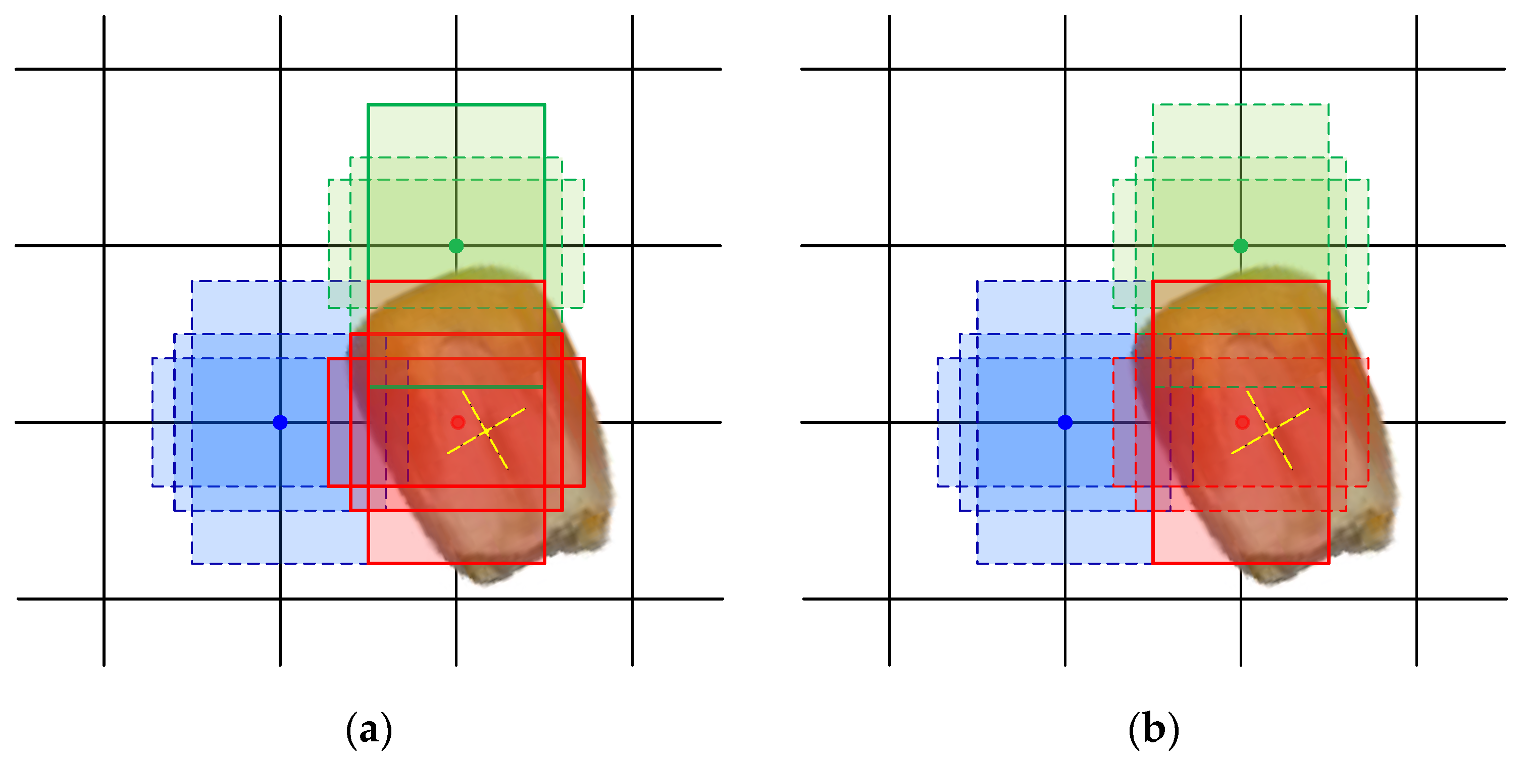 Agronomy 13 01750 g007