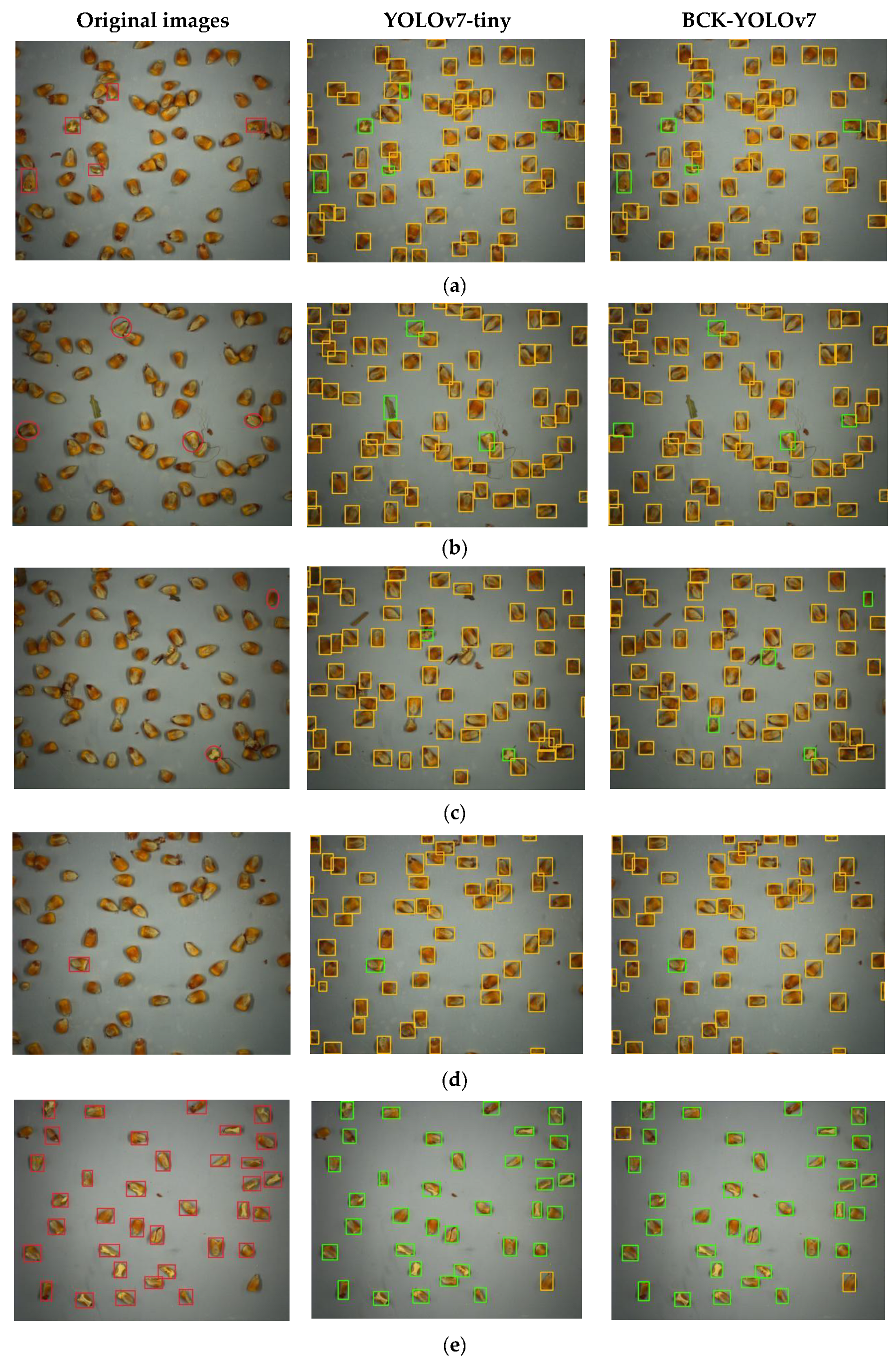 Agronomy 13 01750 g010