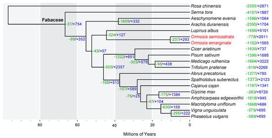 Relationship between twine diameter (TD) and L50 (A) and SR (B) in