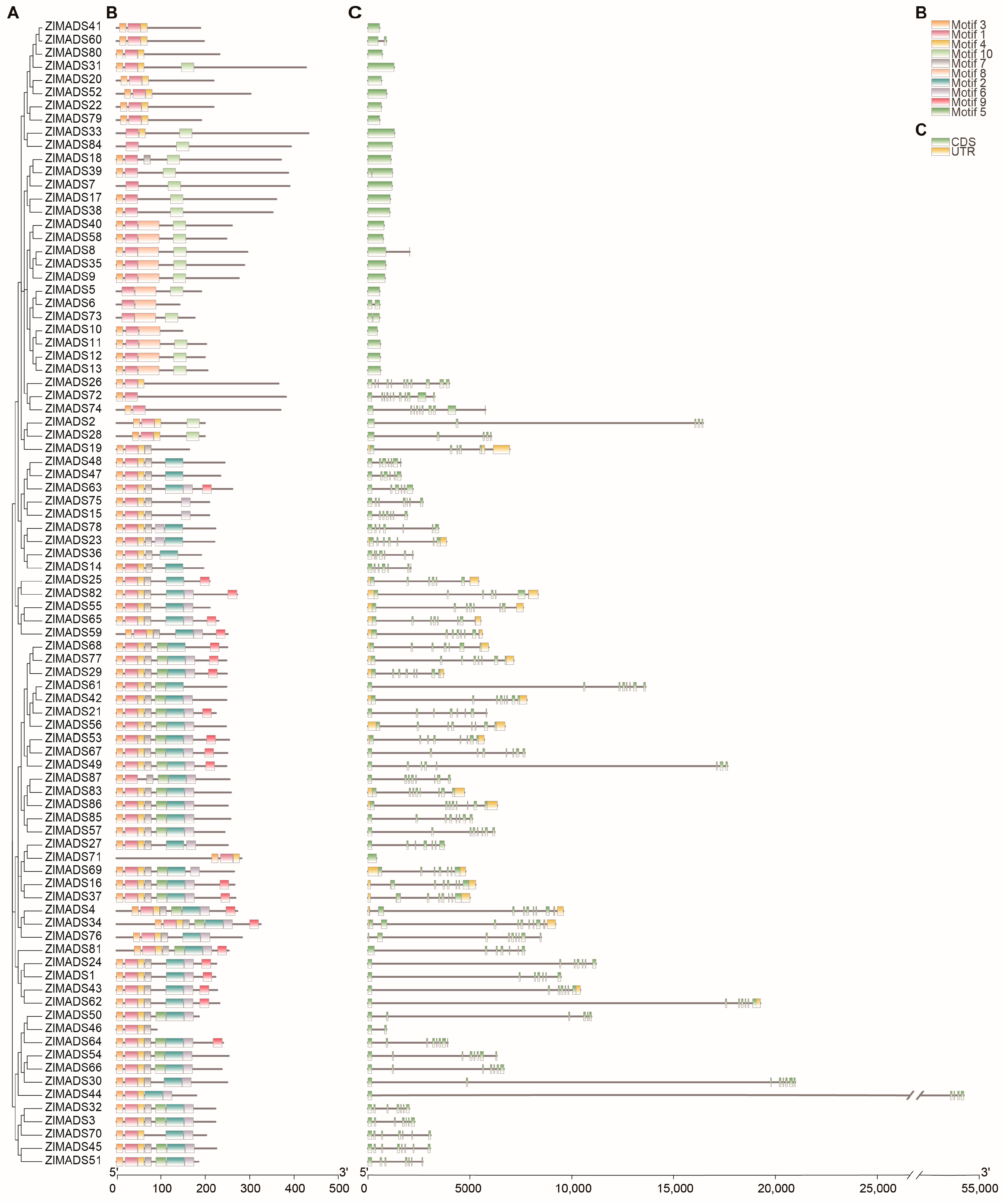 Agronomy 13 01758 g002