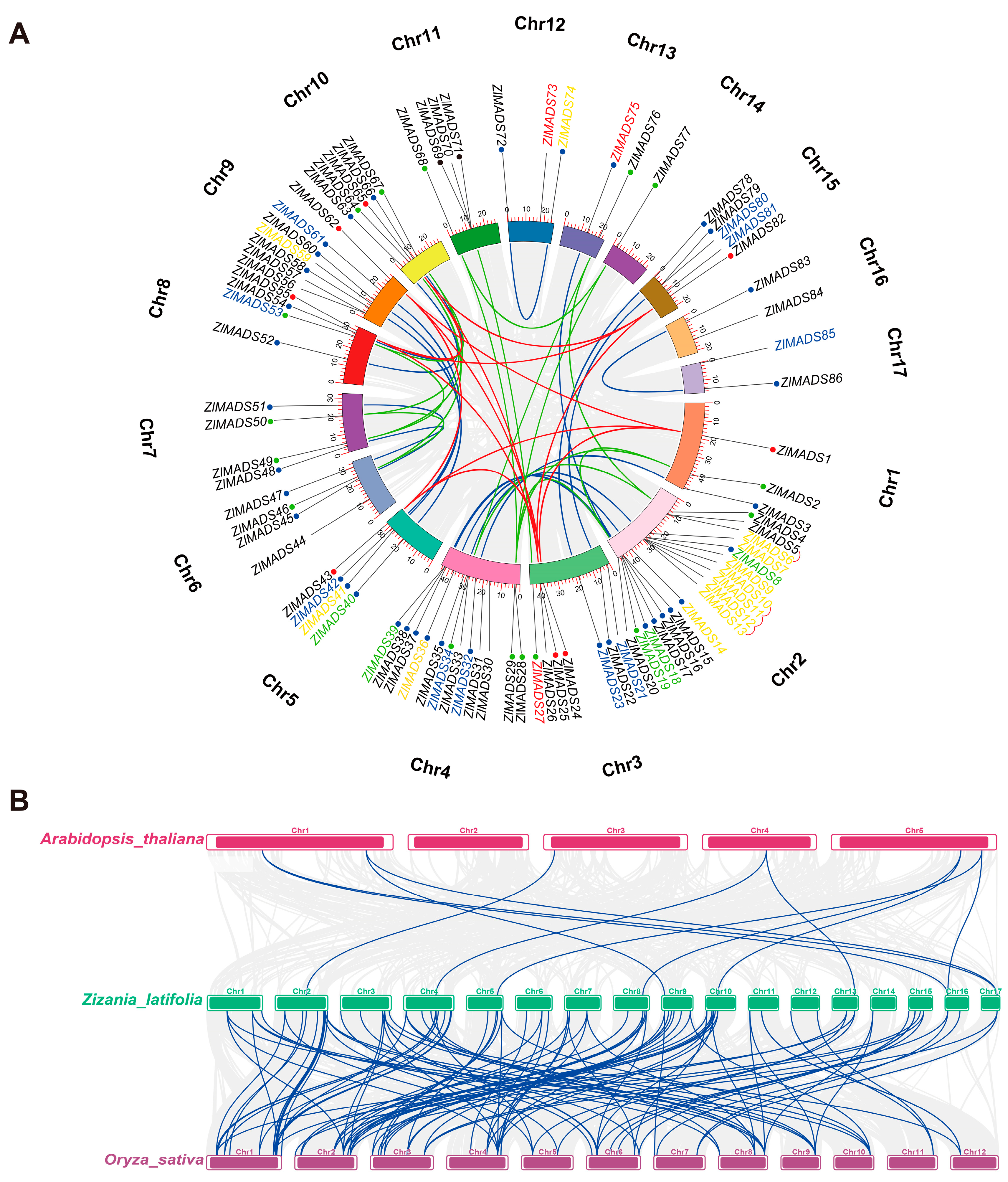 Agronomy 13 01758 g003
