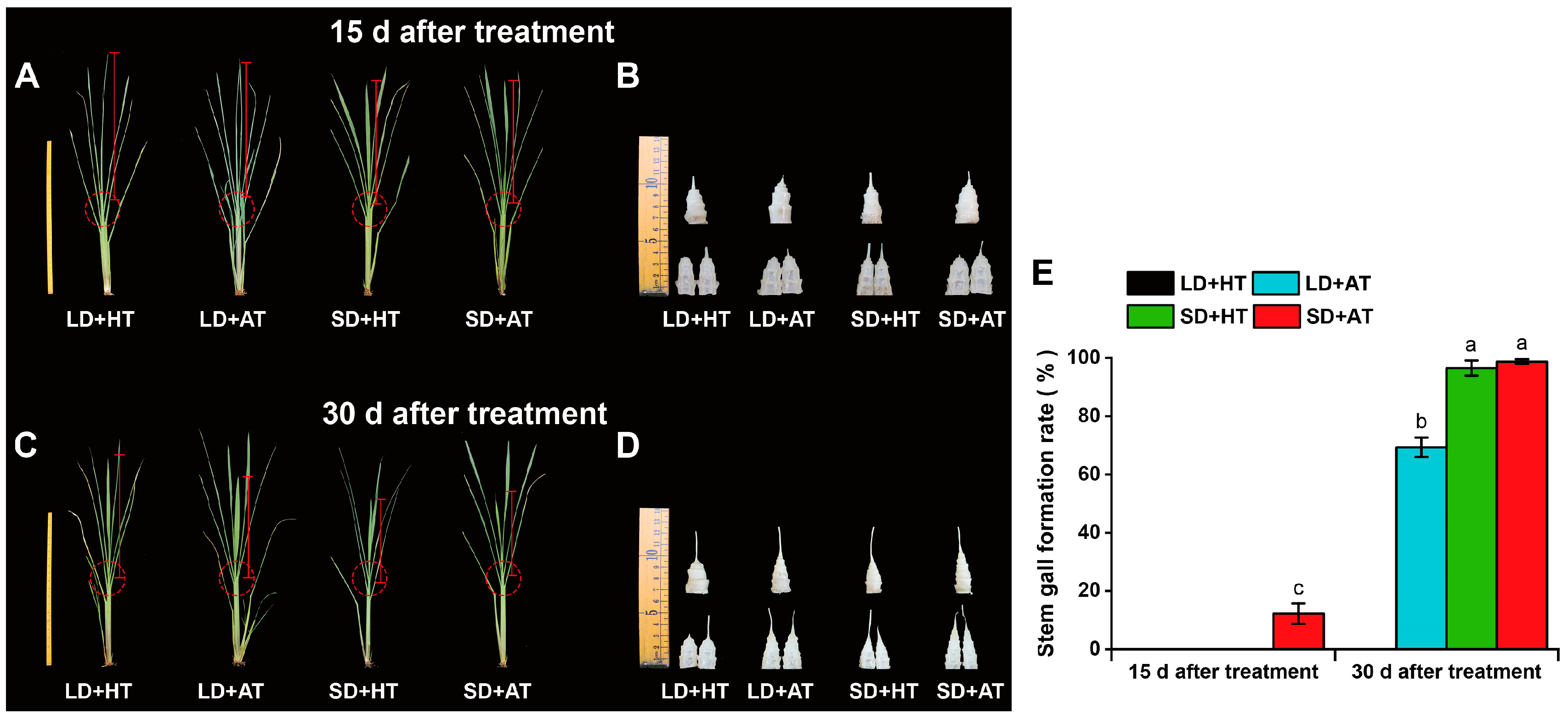 Agronomy 13 01758 g005