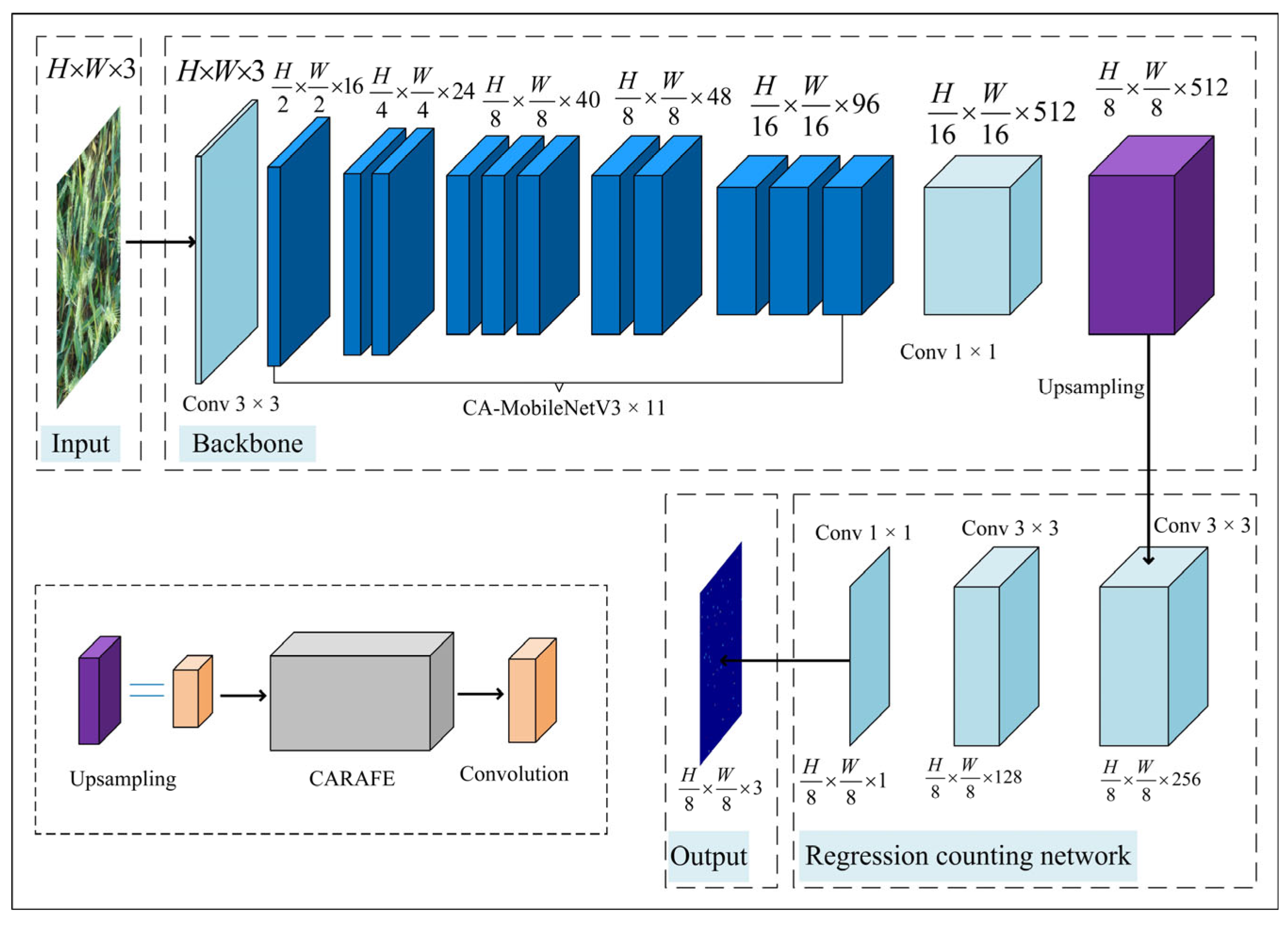 Agronomy | Free Full-Text | Cross-Platform Wheat Ear Counting Model ...