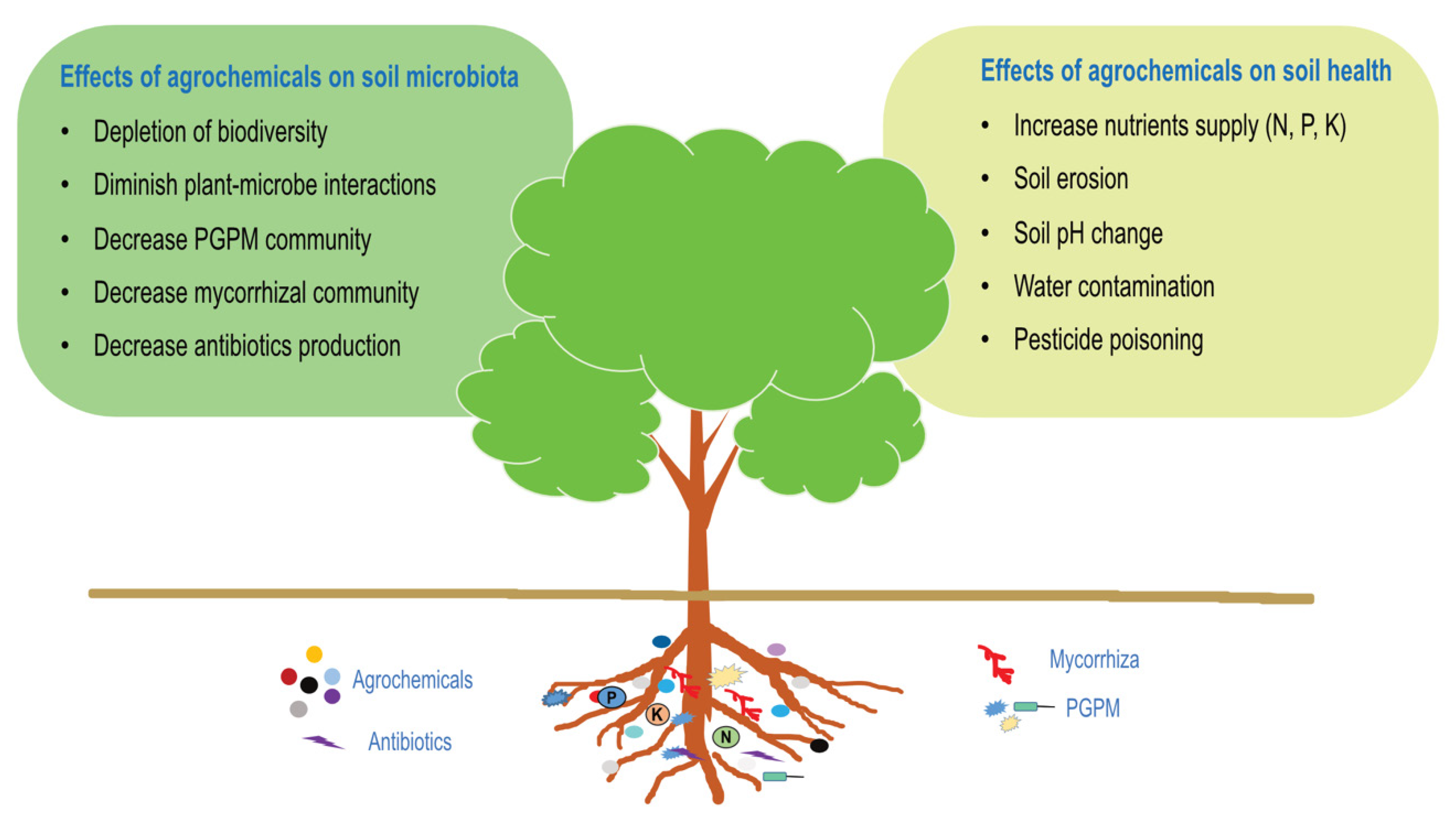 Agronomy 13 01804 g001 Agronomy 13 01804 g001