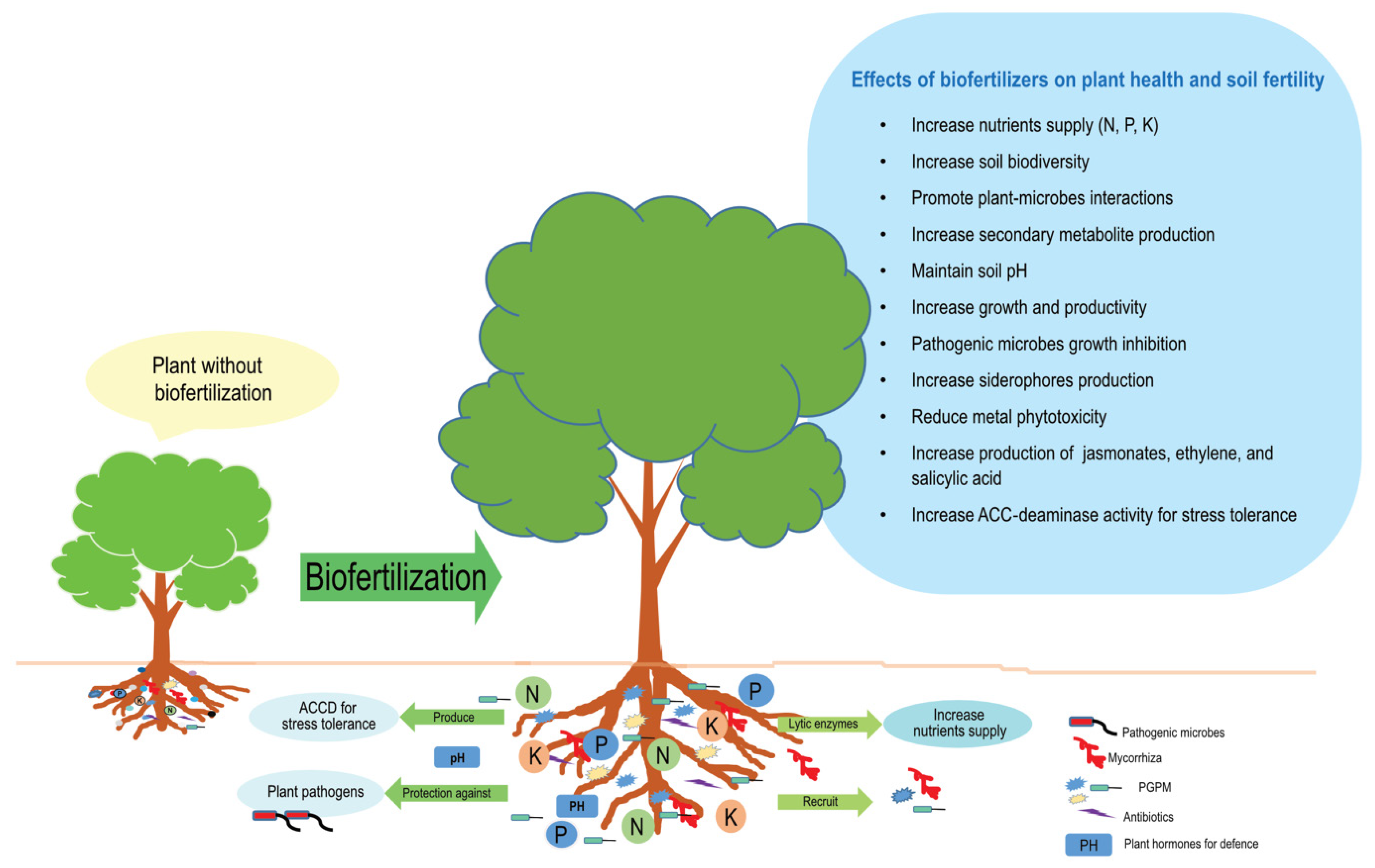 Agronomy 13 01804 g002 Agronomy 13 01804 g002