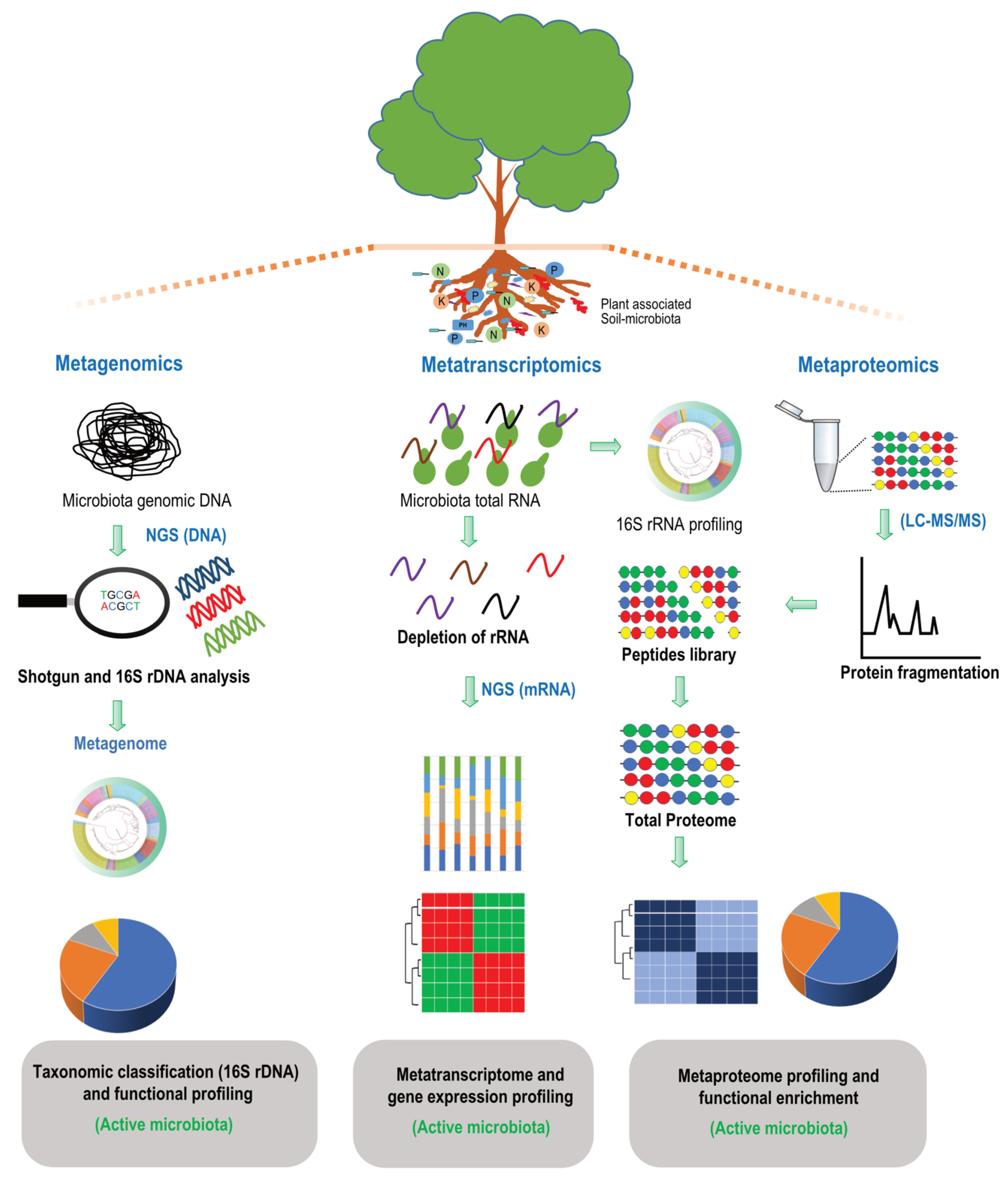 Agronomy 13 01804 g003 Agronomy 13 01804 g003