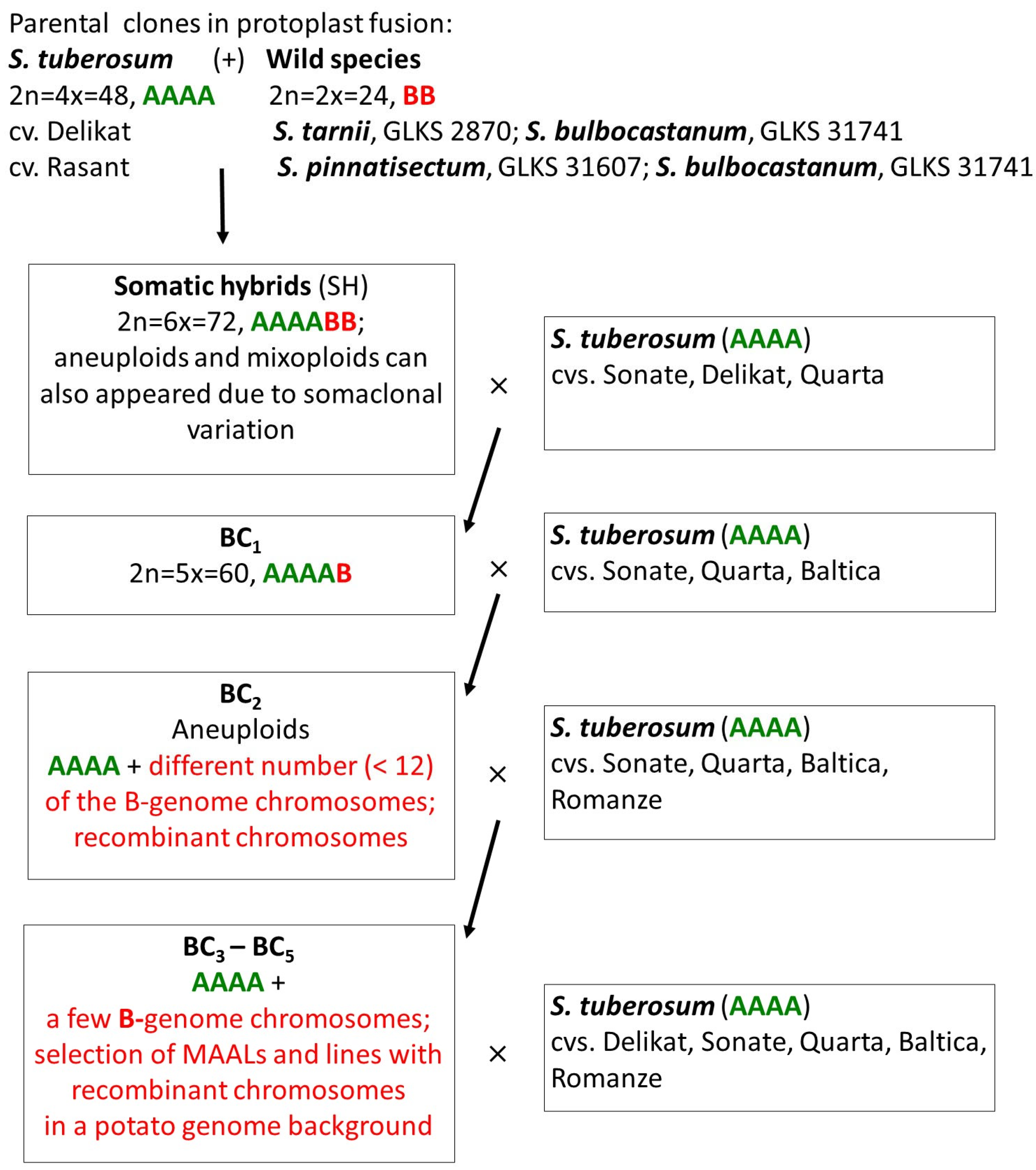 Agronomy 13 01809 g001