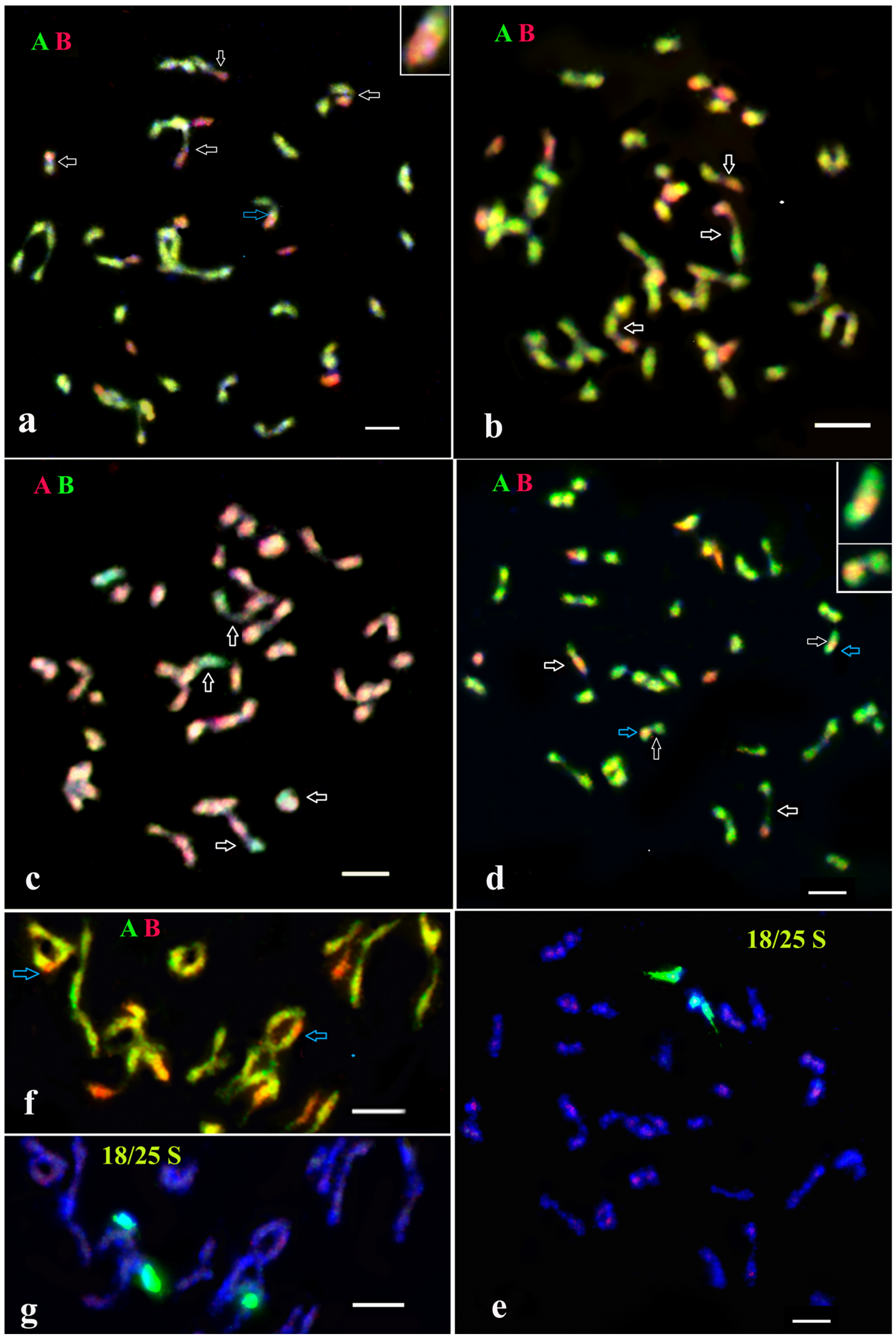 Agronomy 13 01809 g004