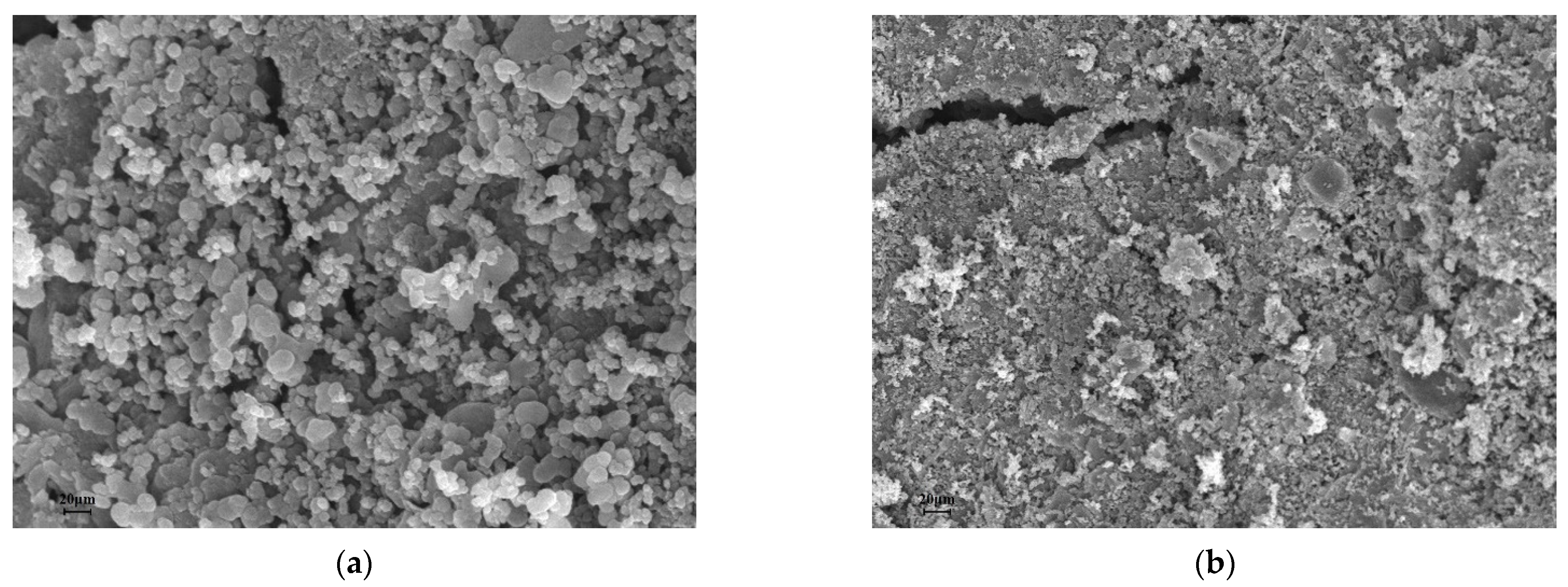 Agronomy 13 01813 g002