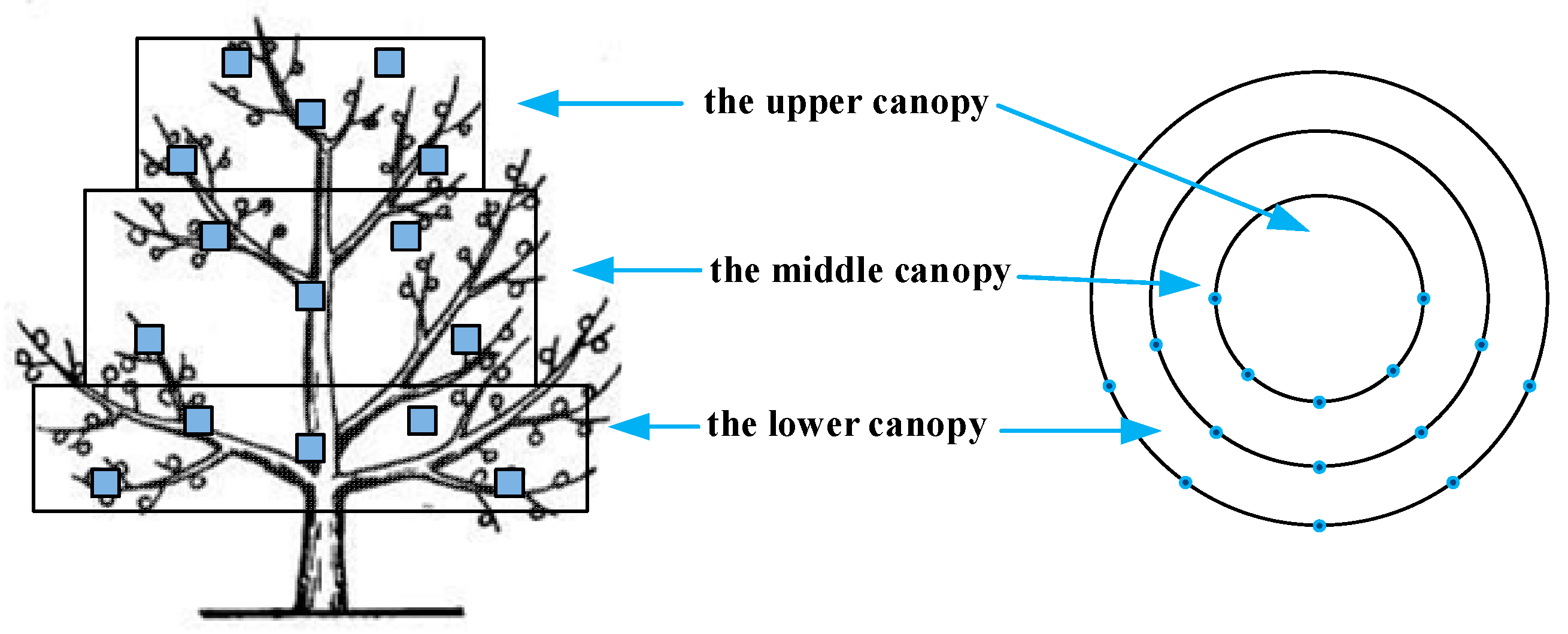 Agronomy 13 01815 g005 Agronomy 13 01815 g005