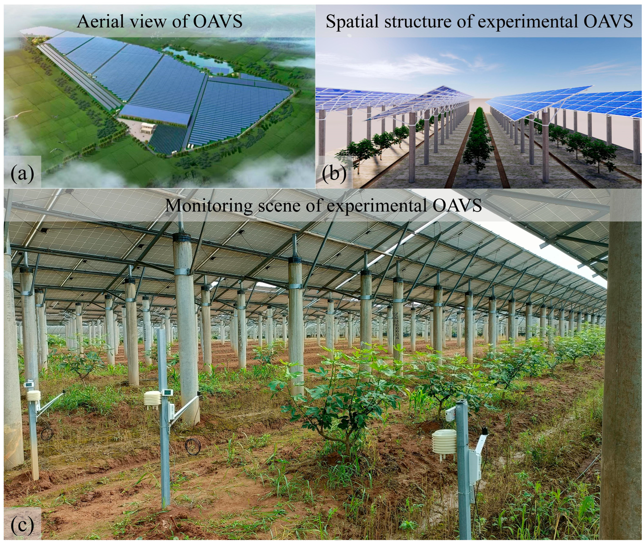 Agronomy 13 01820 g001 Agronomy 13 01820 g001