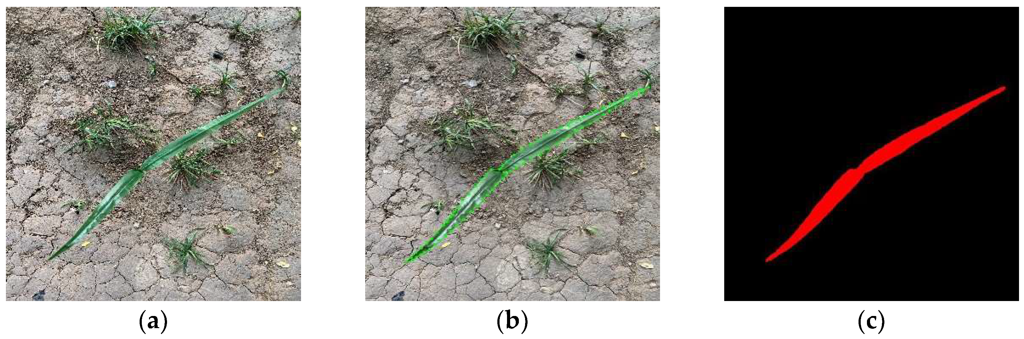 Agronomy 13 01846 g001 Agronomy 13 01846 g001