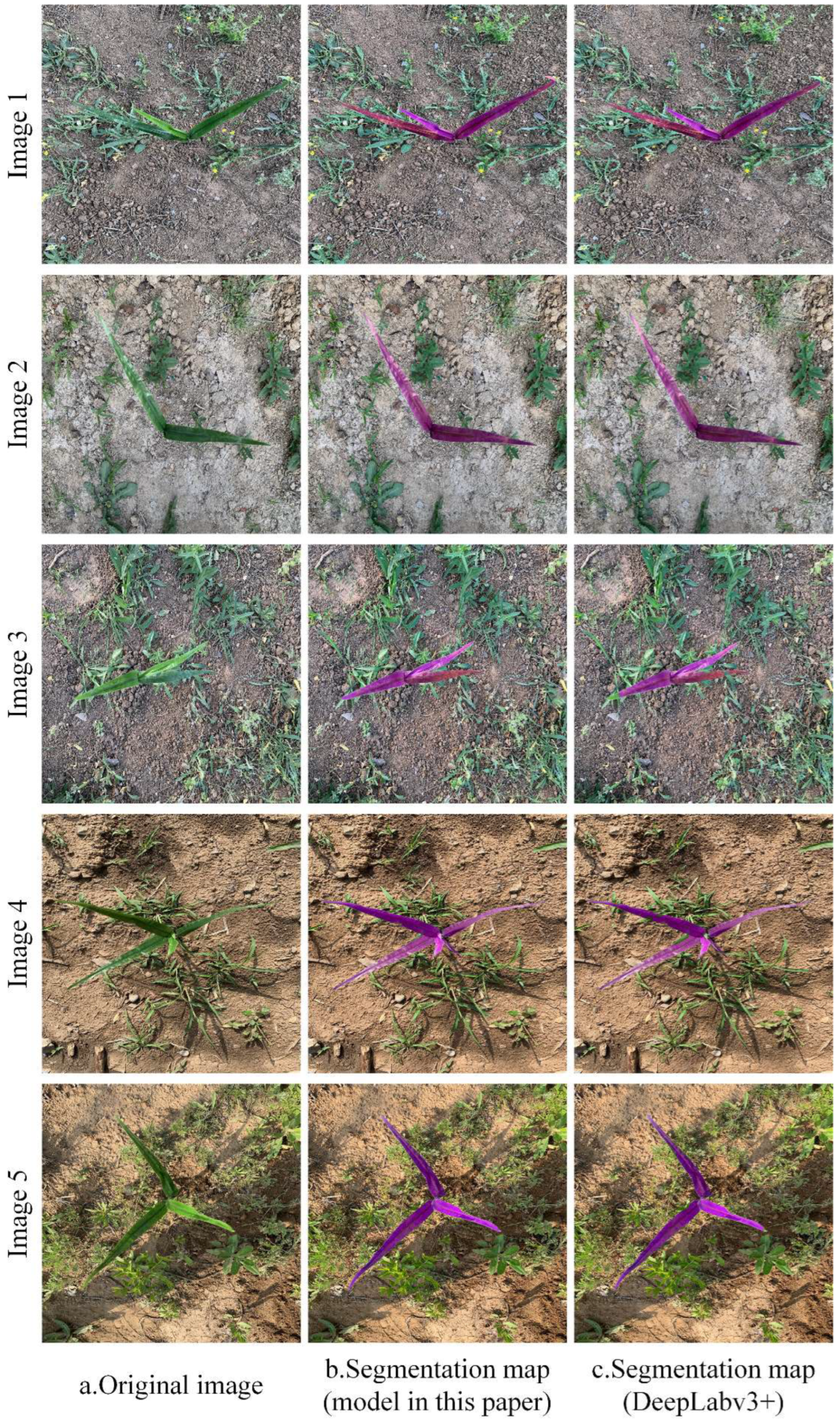 Agronomy 13 01846 g009 Agronomy 13 01846 g009