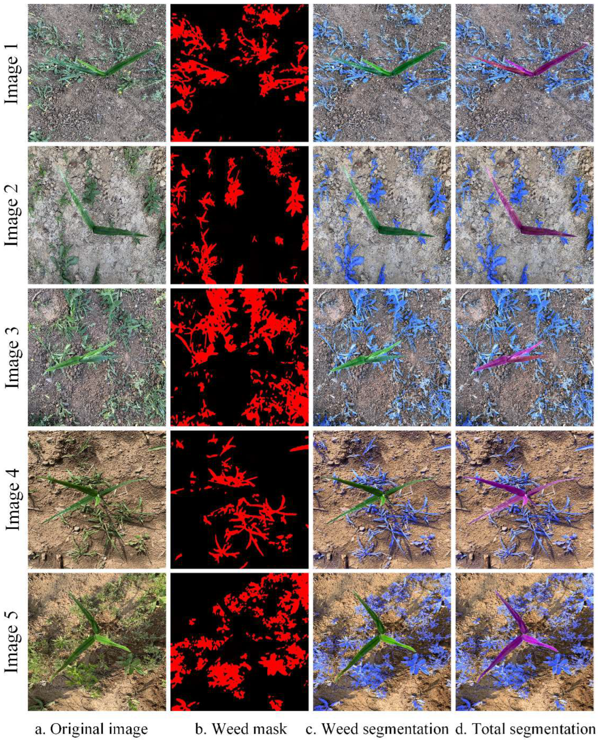 Agronomy 13 01846 g010 Agronomy 13 01846 g010