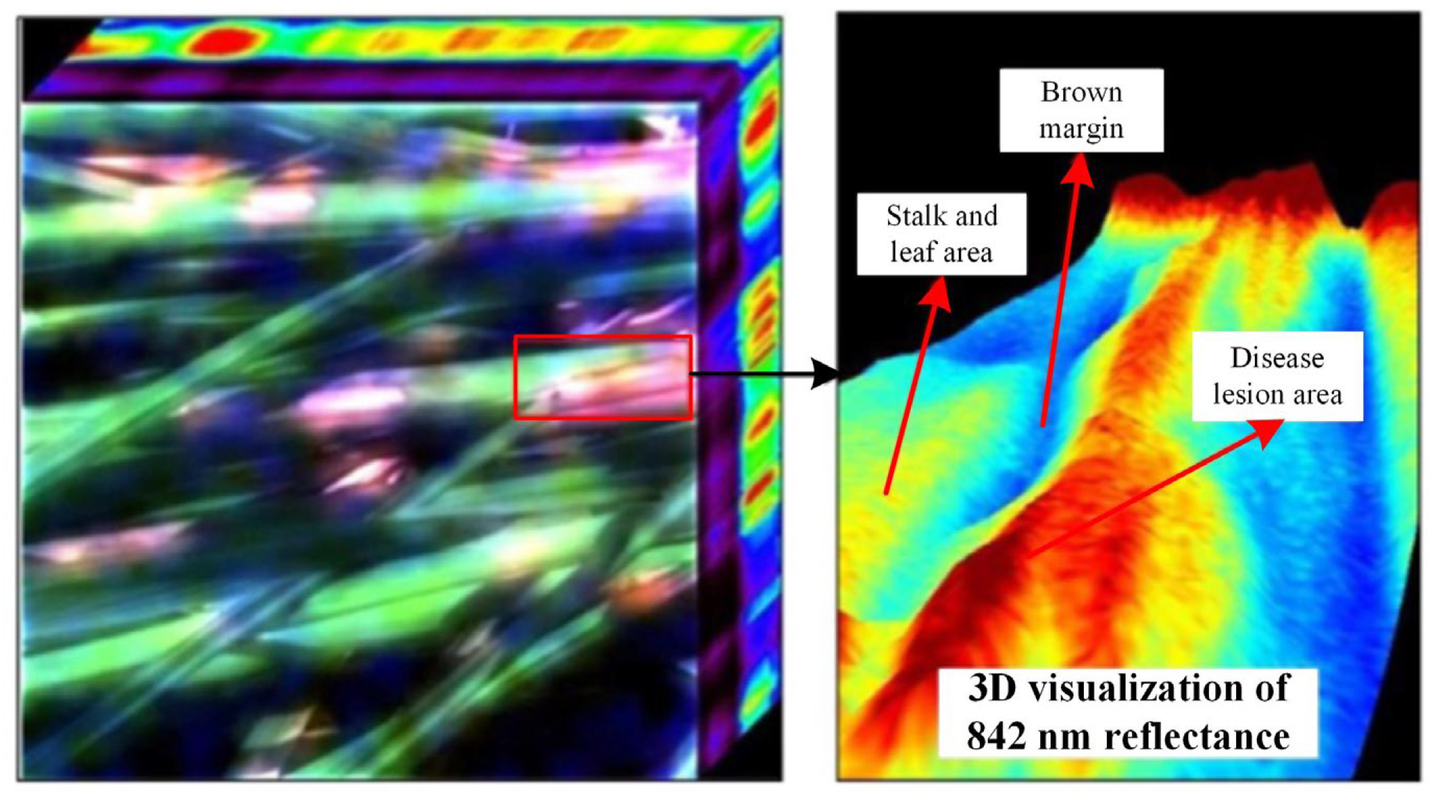 Agronomy 13 01851 g003