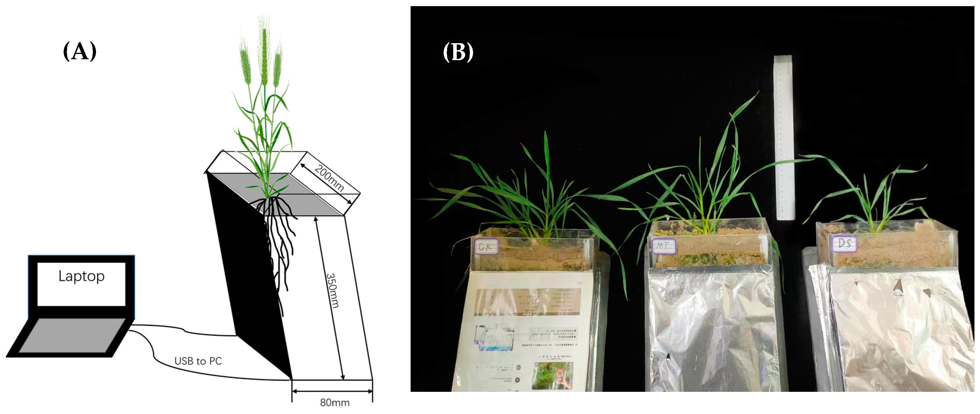 Agronomy 13 01881 g001