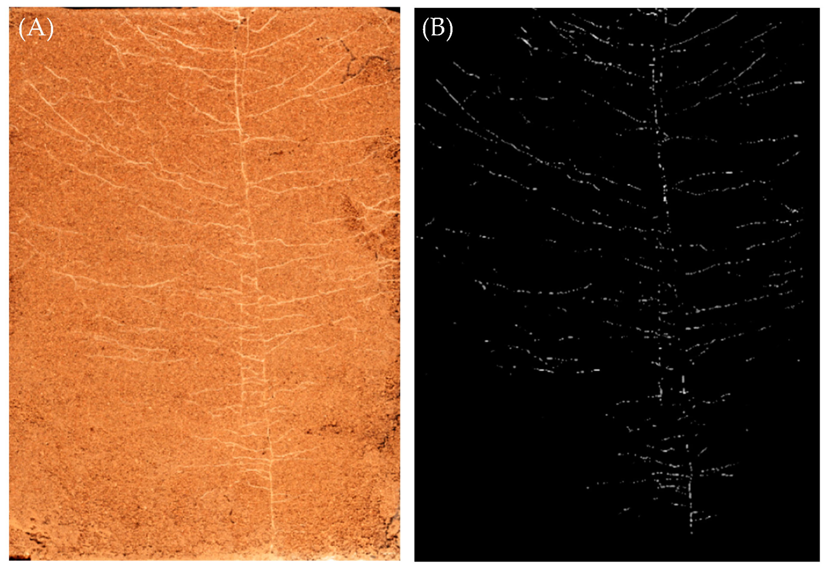 Agronomy 13 01881 g002