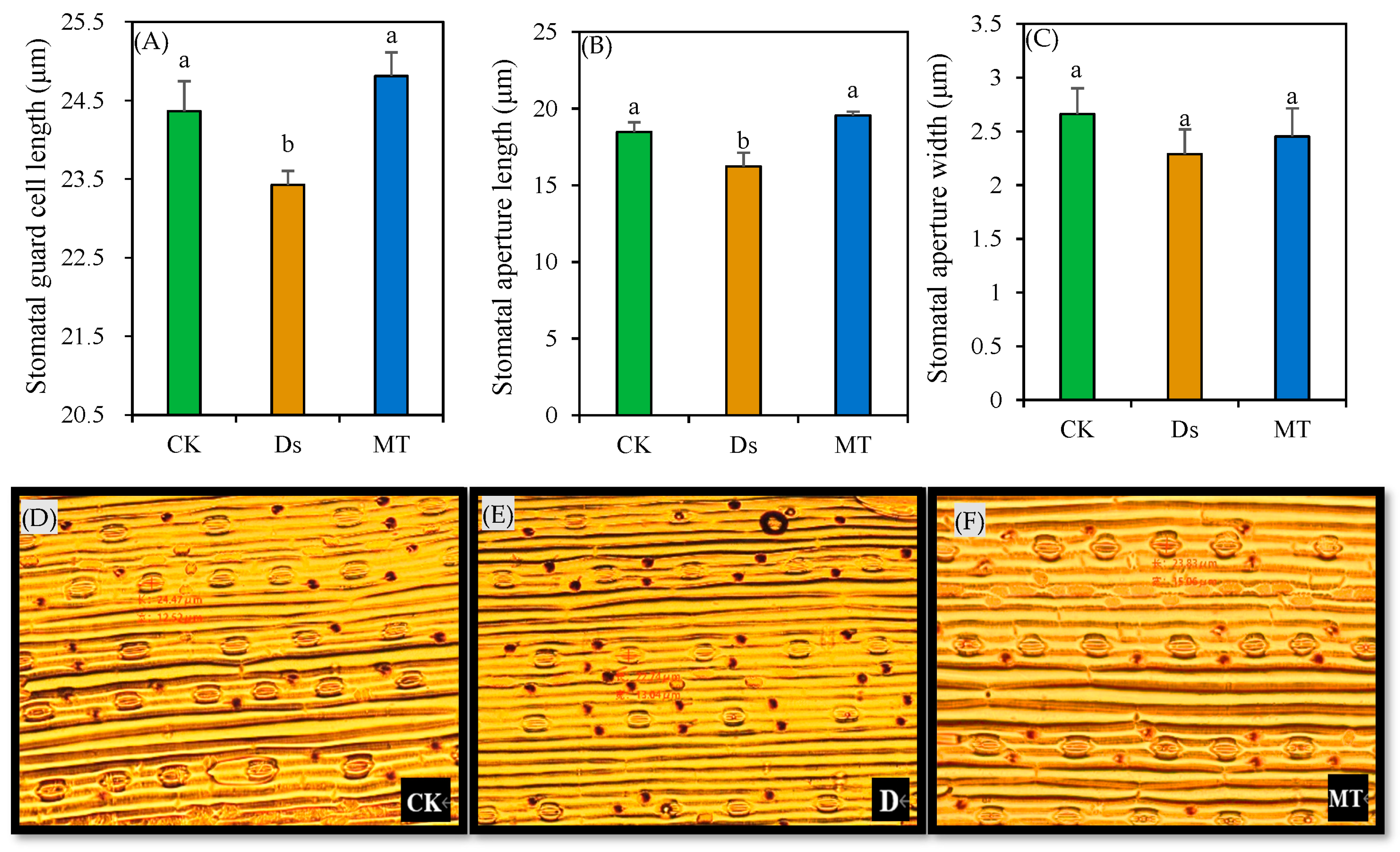 Agronomy 13 01881 g004